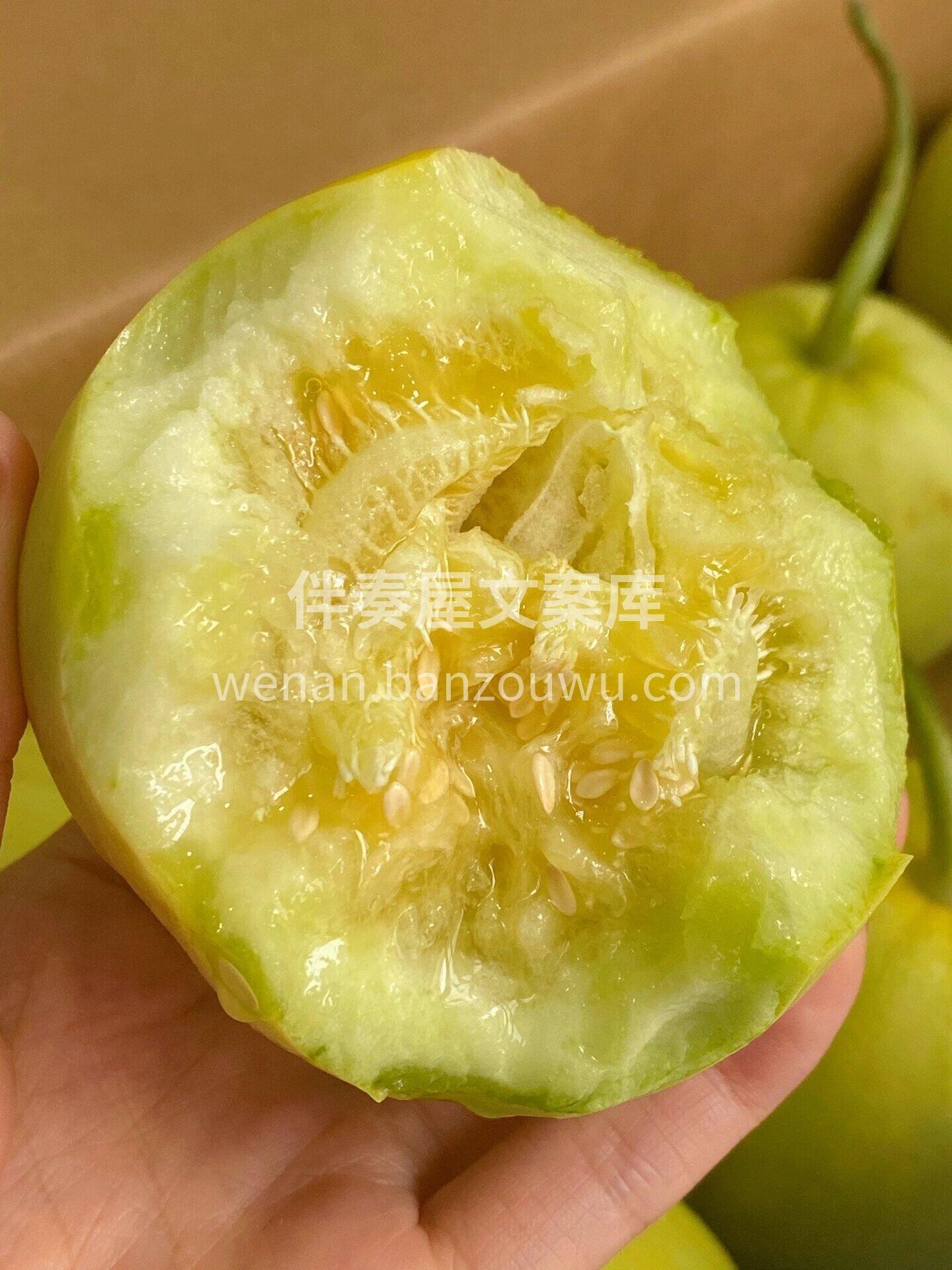 吃着让人眼前一亮的马连庄甜瓜到货🔥 像蜜 配图2