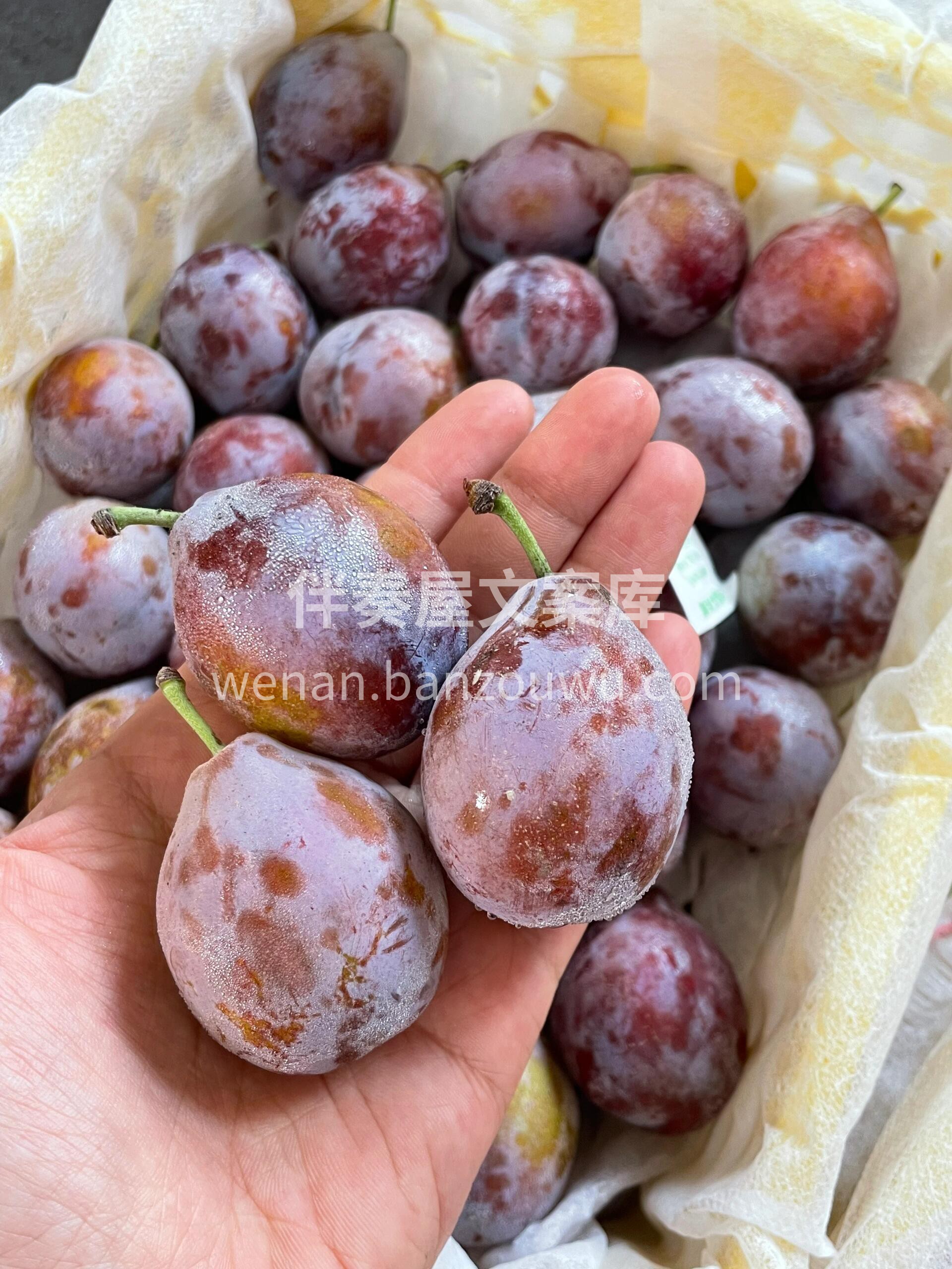 西梅的甜美，是生活中的小确幸～ 果肉紧实 配图1