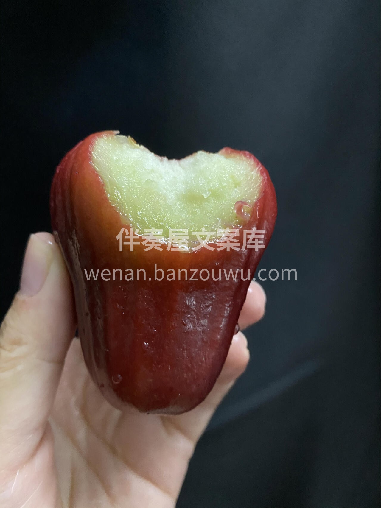 【黑金刚莲雾】 🍭🍭补水明星️新品莲雾  配图2