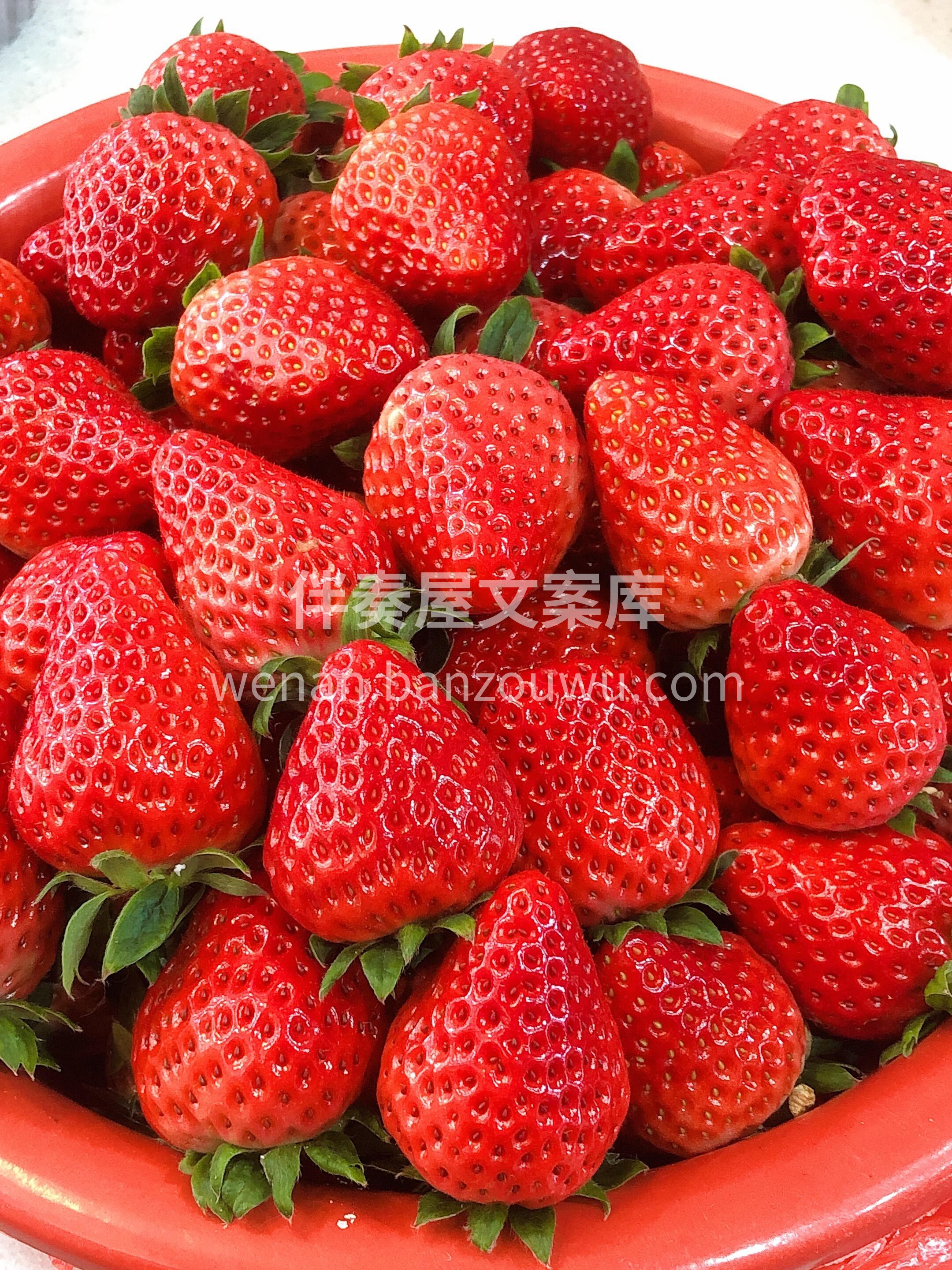 红红火火🧧 大橘大利🎁 开启一路牛到开挂 配图3