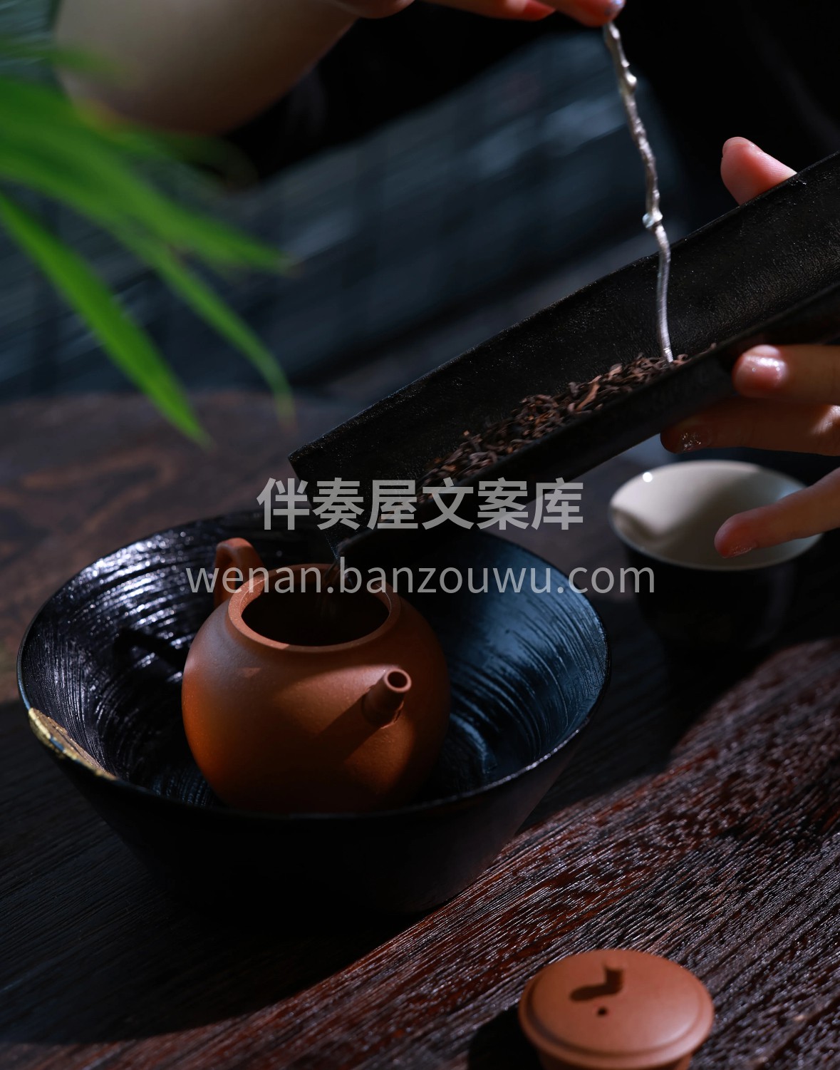 梧州六堡，岁月馈香。干茶乌褐，汤如琥珀， 配图2