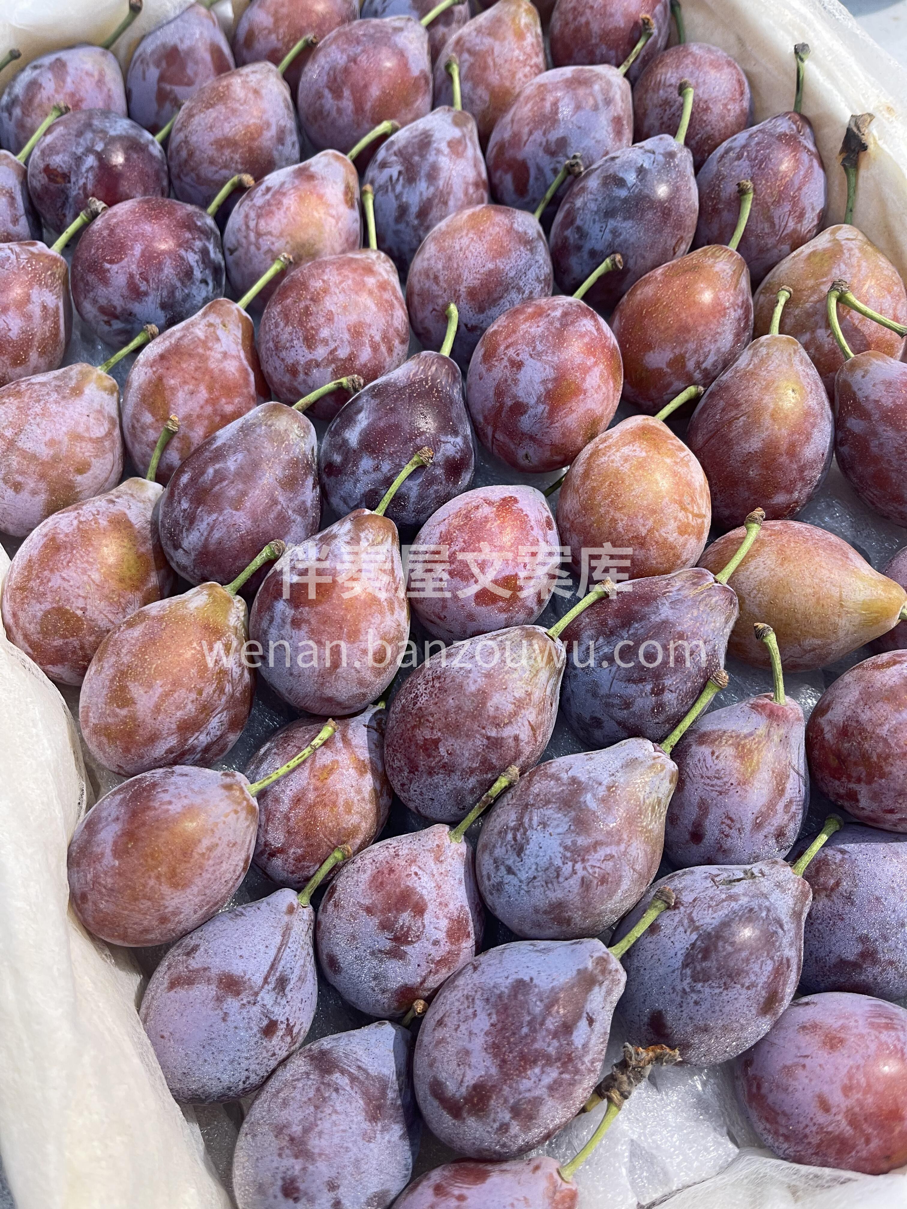 🟣 西梅！ 紫莹莹的小果子💜 咬开果肉琥 配图2