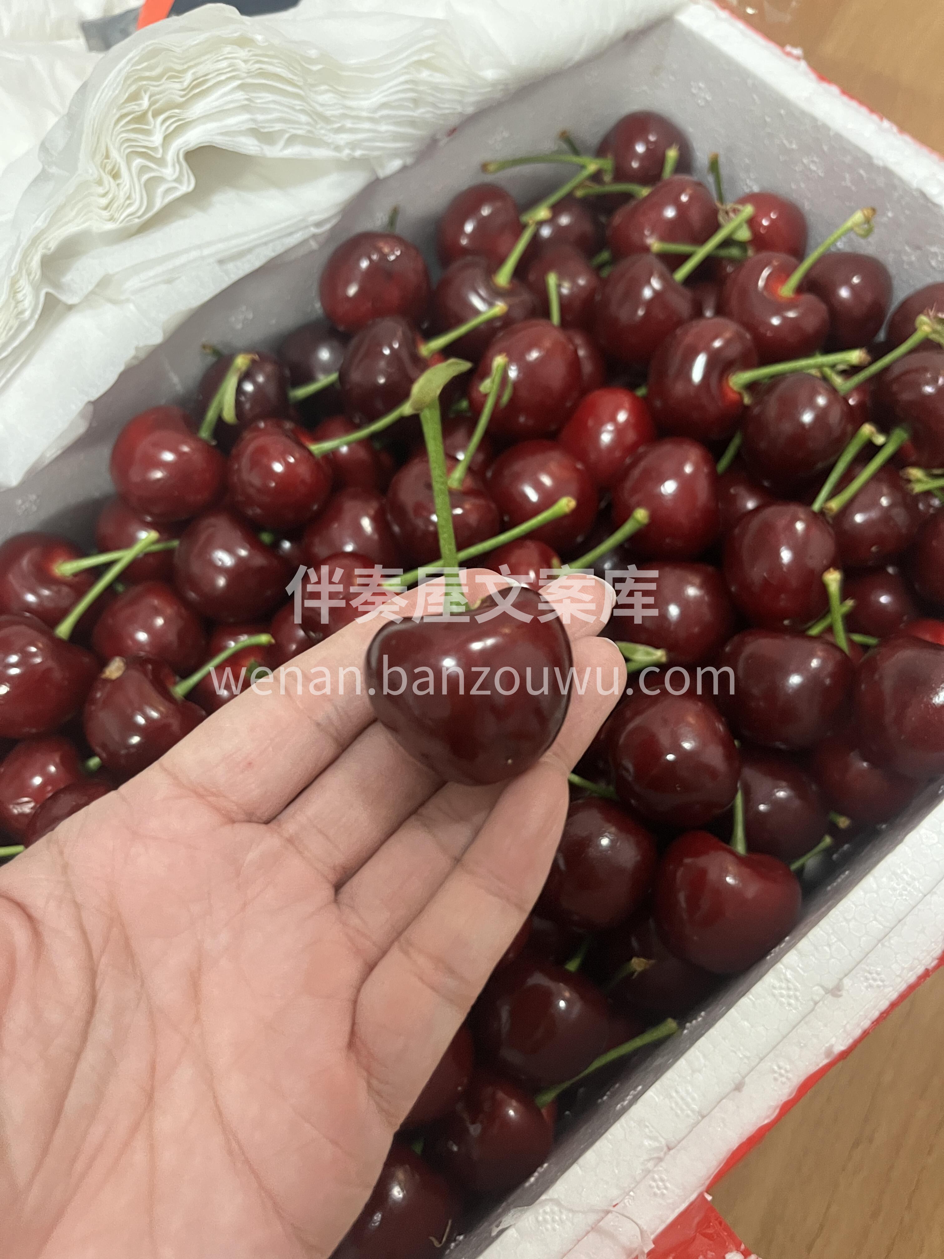 🍒 美早樱桃上市！🍒 红得发紫像玛瑙～颗 配图2