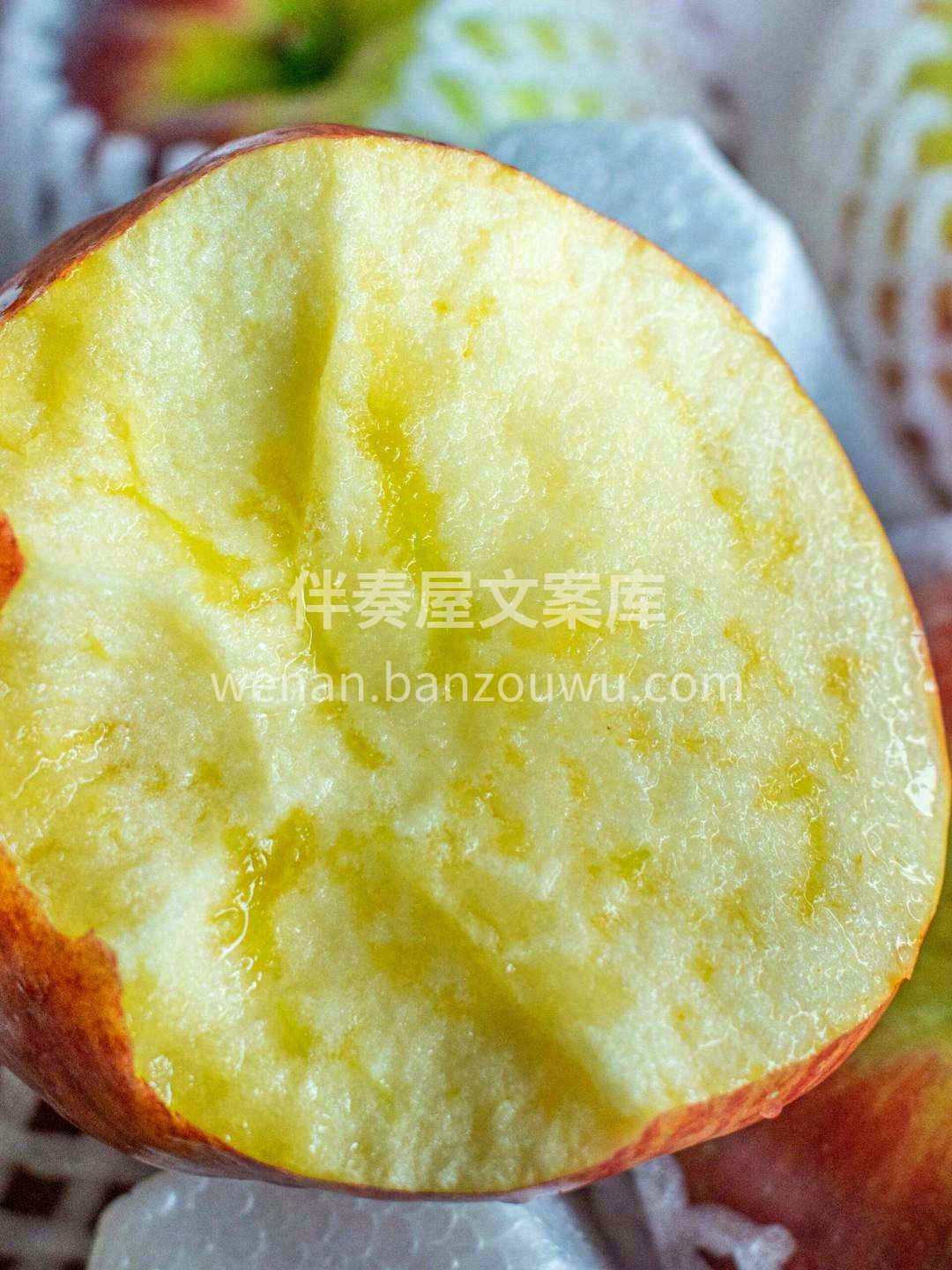 邵通苹果🍎，2700米高原苹果 大的昼夜 配图1