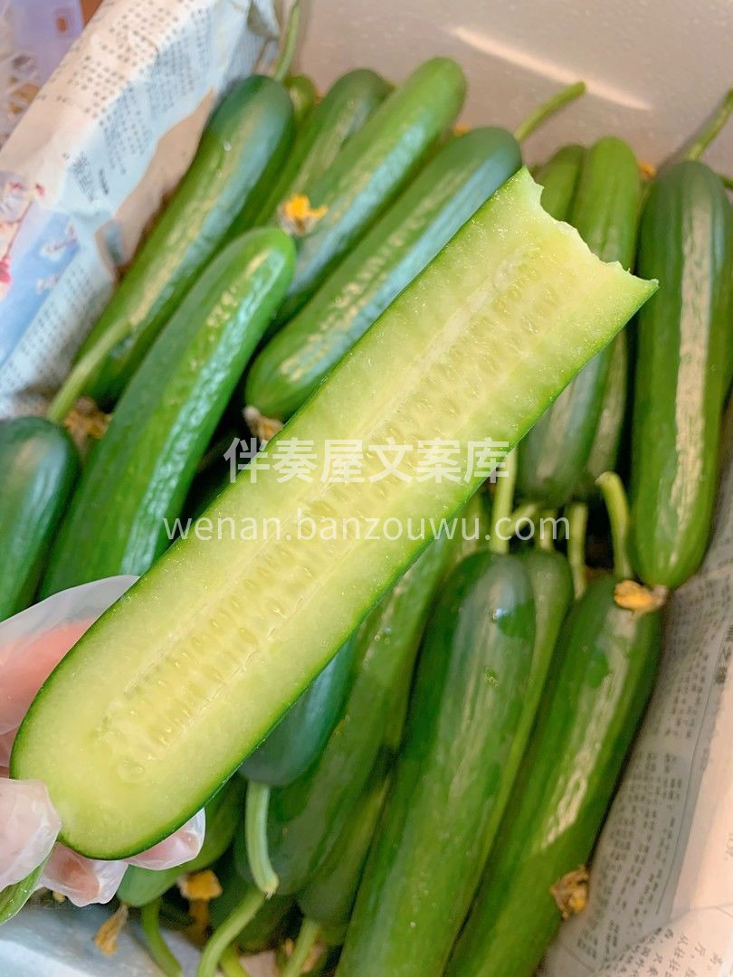 在冬天里贩卖夏天也是独一份咯！ 🥒清爽的 配图2