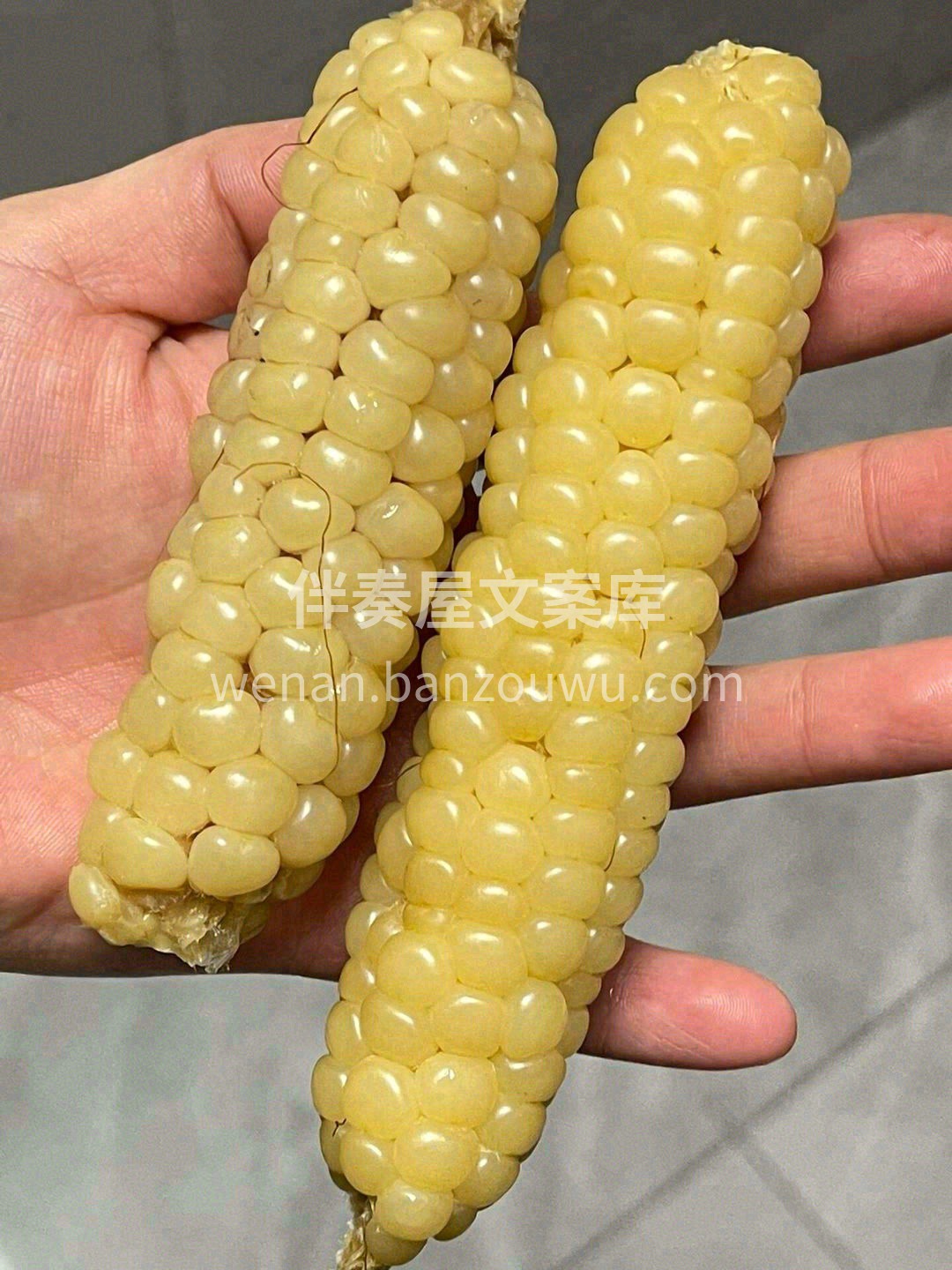 🌽拇指白糯小玉米✅个头小小的，超级可爱😊 配图2