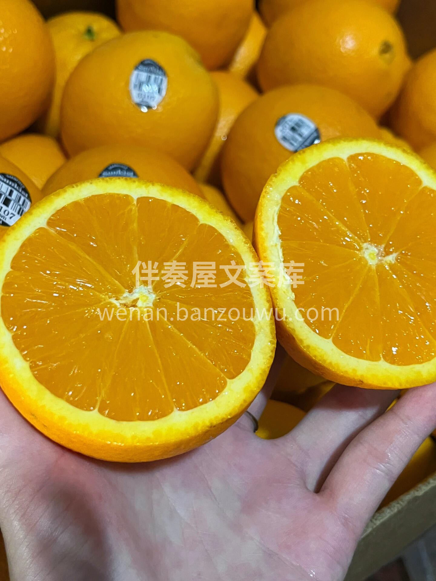 🙋‍♀️说到新奇士橙🍊，大家一定不陌生✅ 配图1