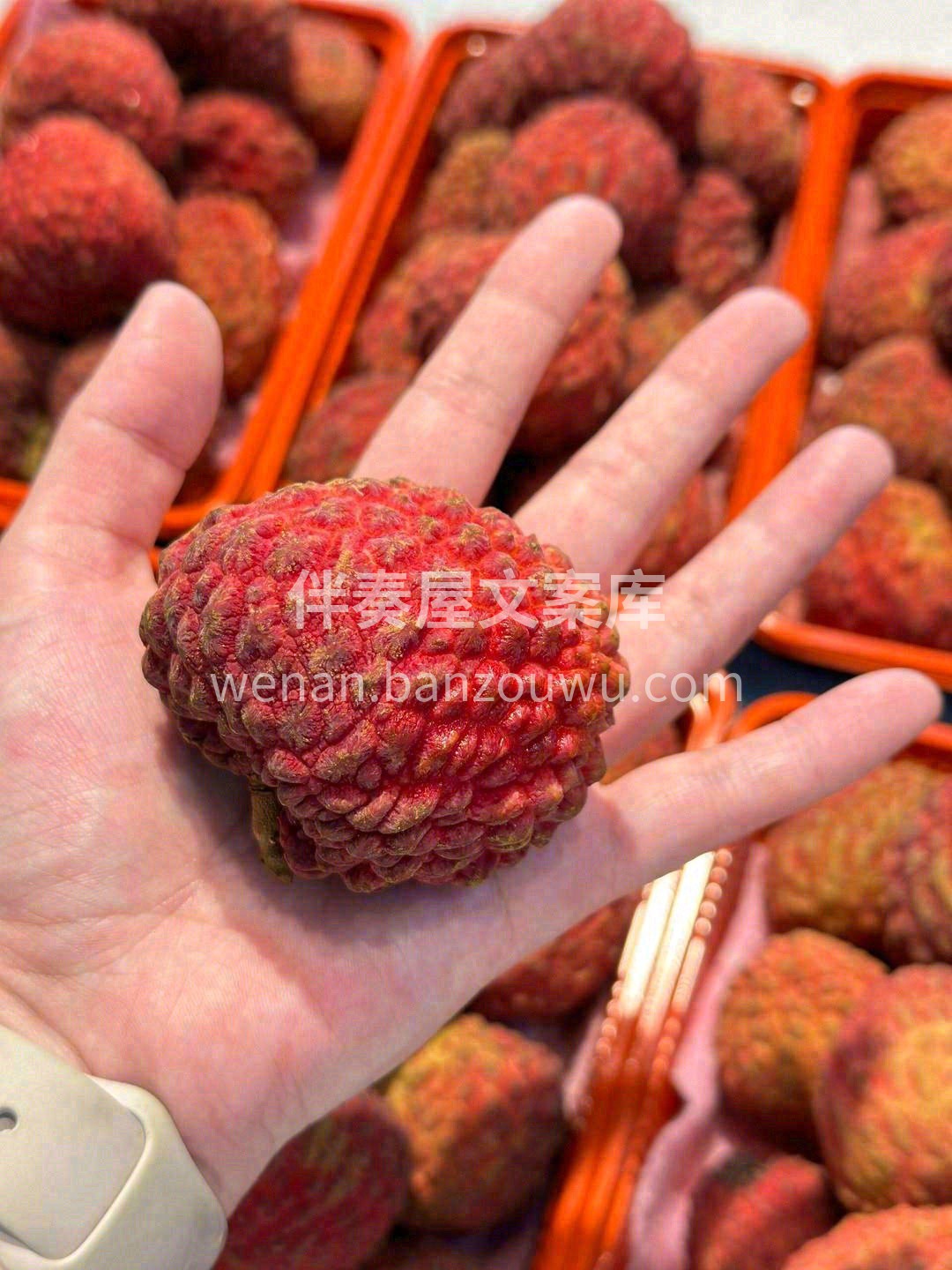 白玉般的果肉丢在嘴里🧊，夏天的燥热烦闷都 配图1