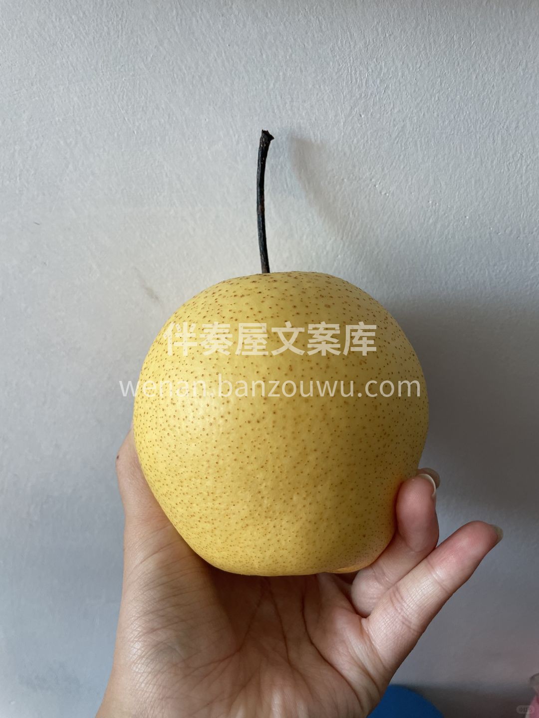 🍐雪梨嫩滑清甜不酸 咬一口清香淡淡，润嗓 配图1