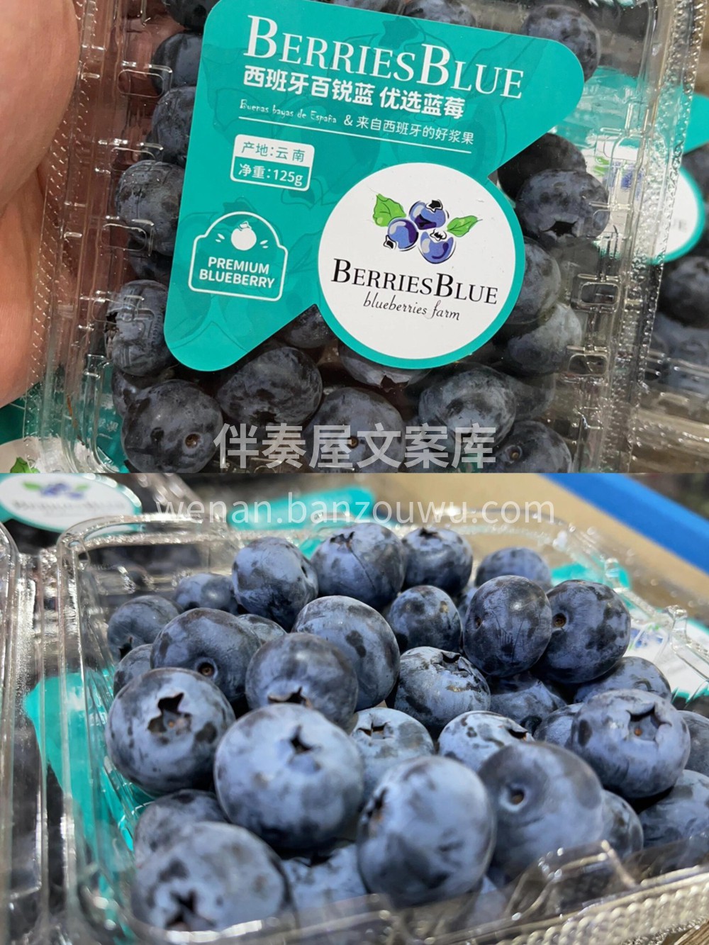 西班牙🇪🇸百锐蓝莓🫐 口感推荐💥云南产区 配图2