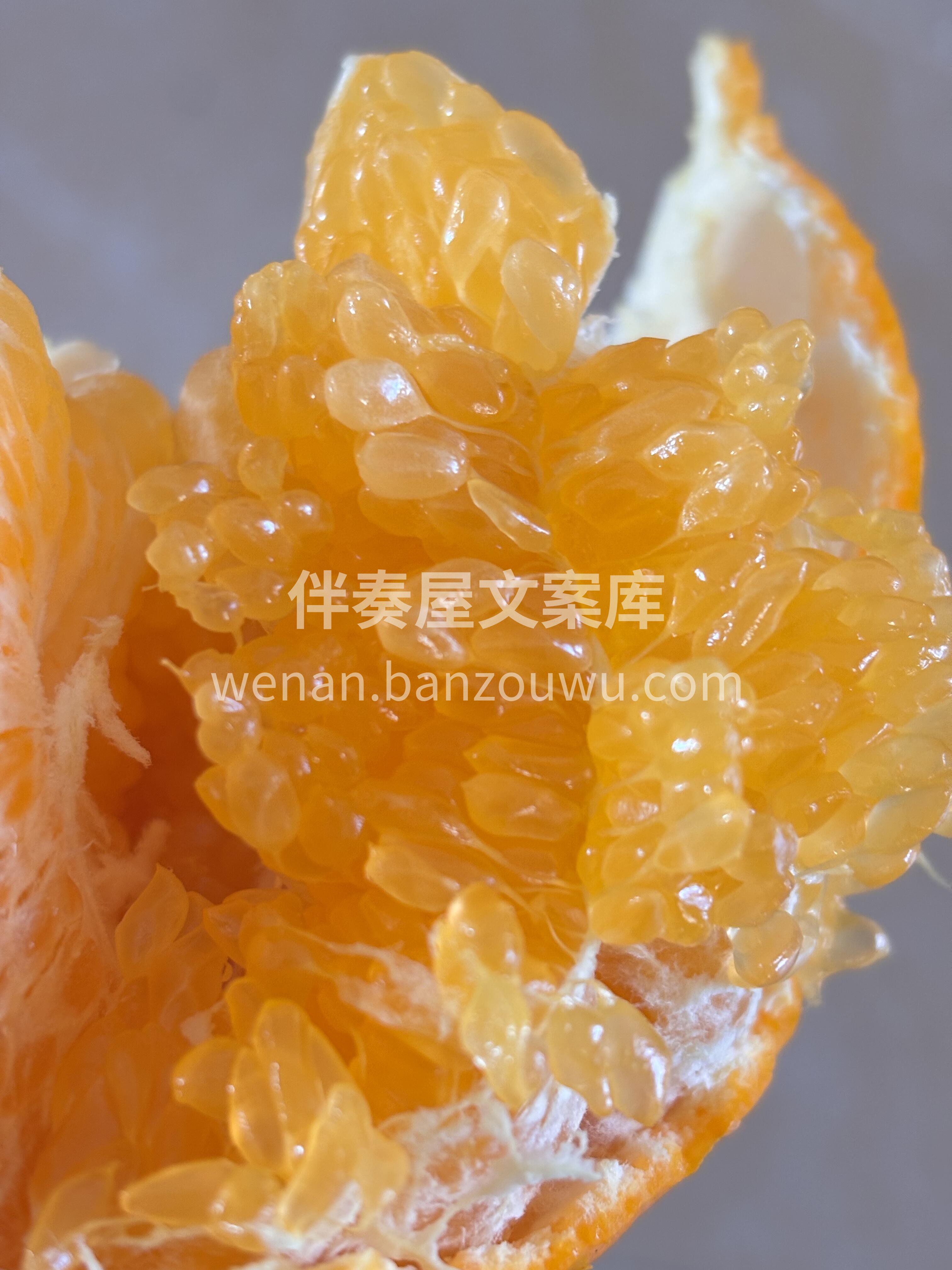 🎉🎉【春见粑粑柑】🍊 爆款💥来袭，带你追 配图1