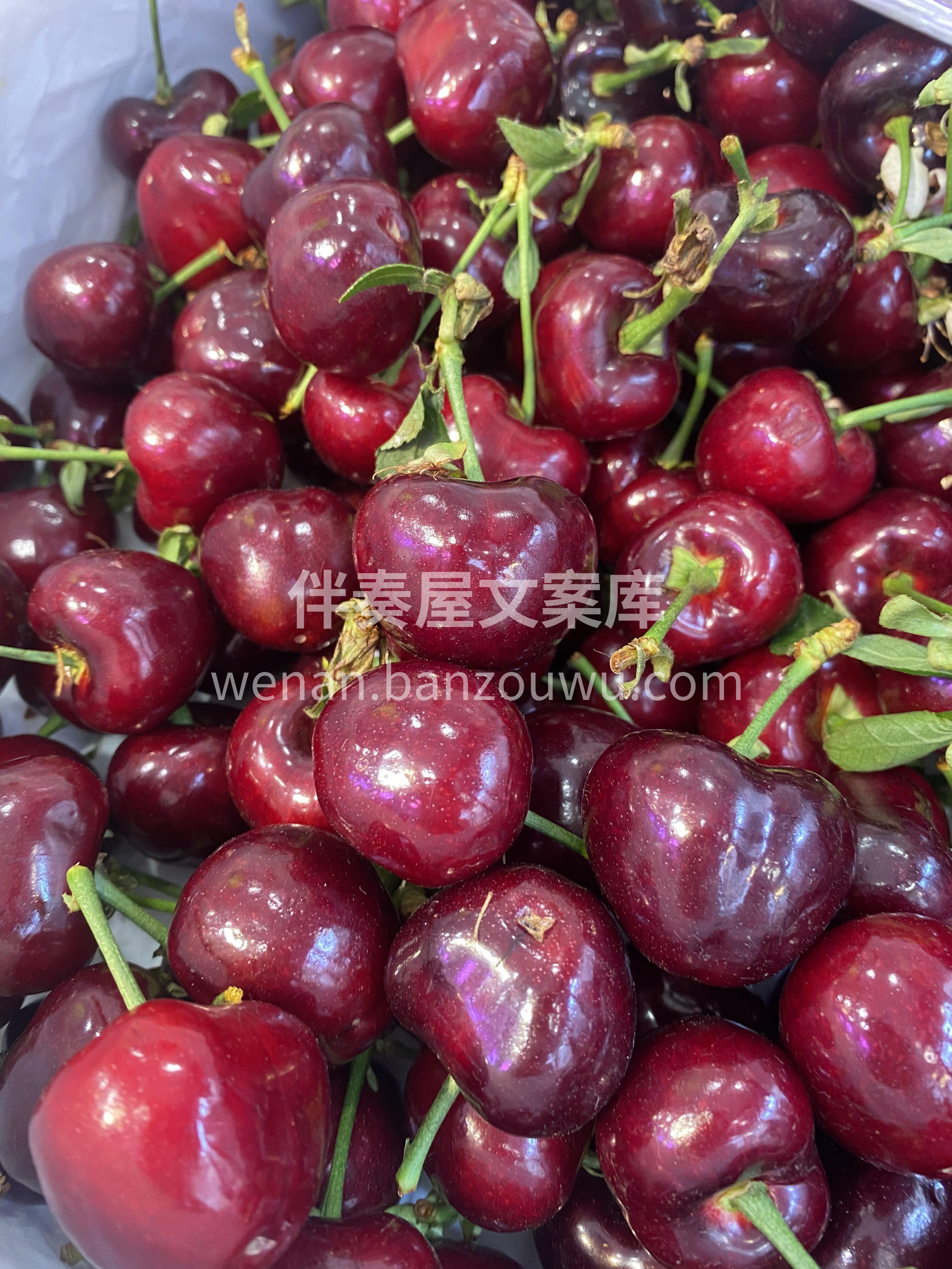 “一年四季的馋，周而复始的吃。” 食物就 配图3