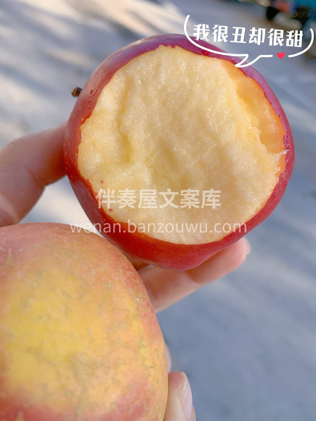 🙋业内挑苹果有个不成文的秘诀，长得不太好 配图2