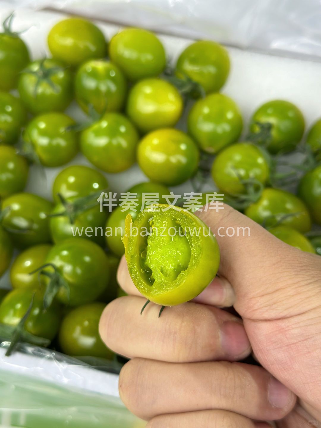 绿宝石般的美味💎—青甜小番茄，一口爆汁🍯 配图2