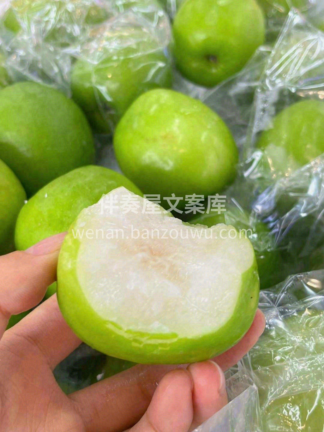 这颗号称“维生素C果”的苹果枣🍏：白透晶 配图2