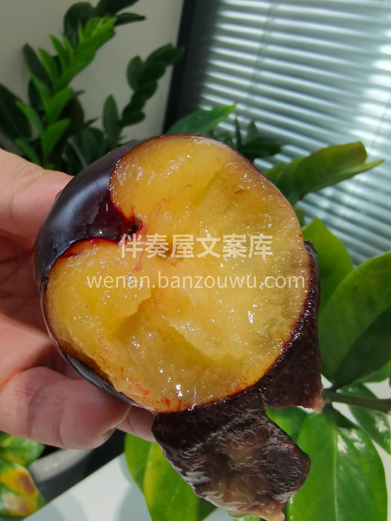 黑布林这颜值😝 这新鲜度好的没话说👍，每 配图2