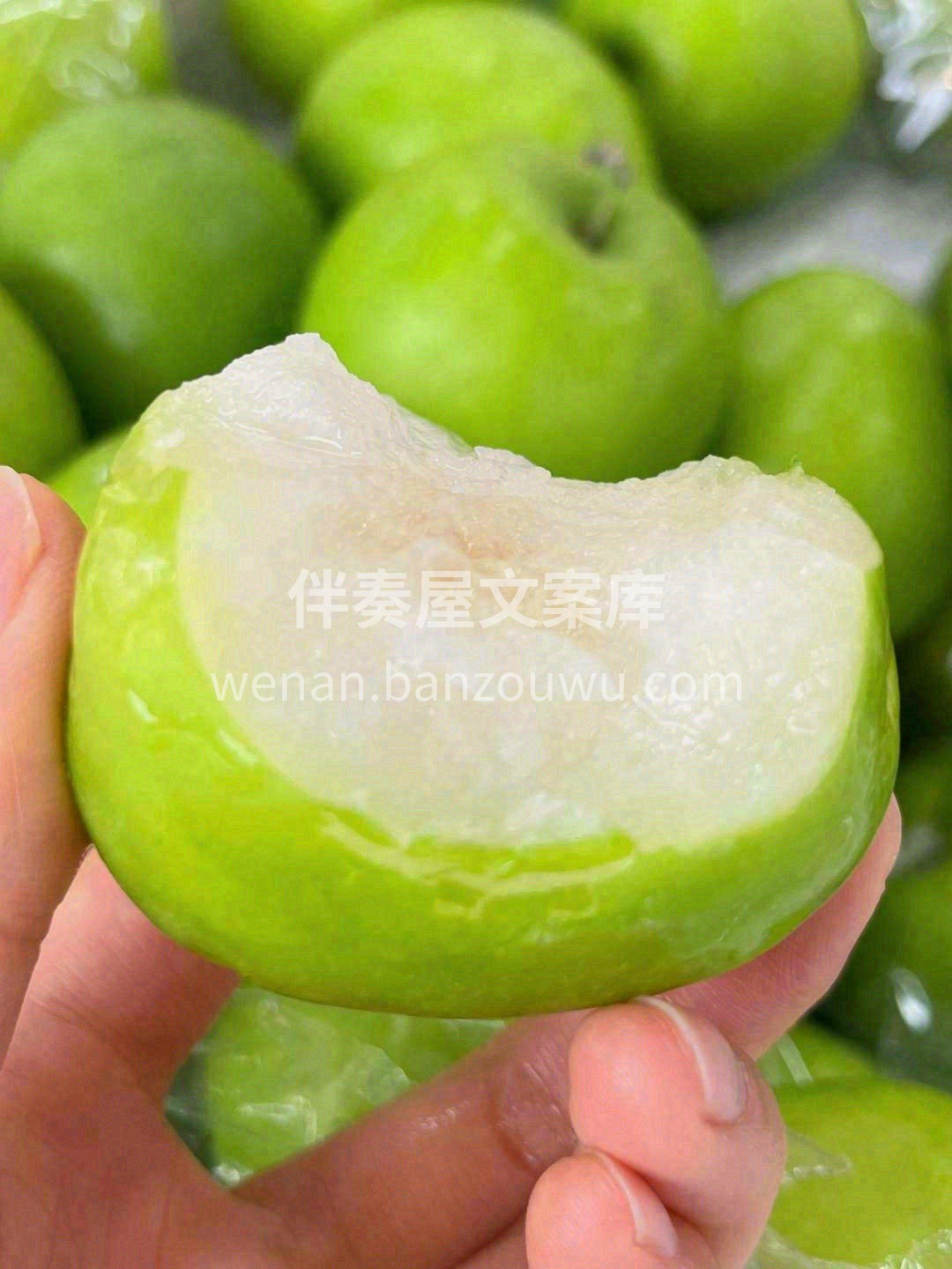 ✨苹果枣||水果界的“维C丸”💊 肉质脆 配图1
