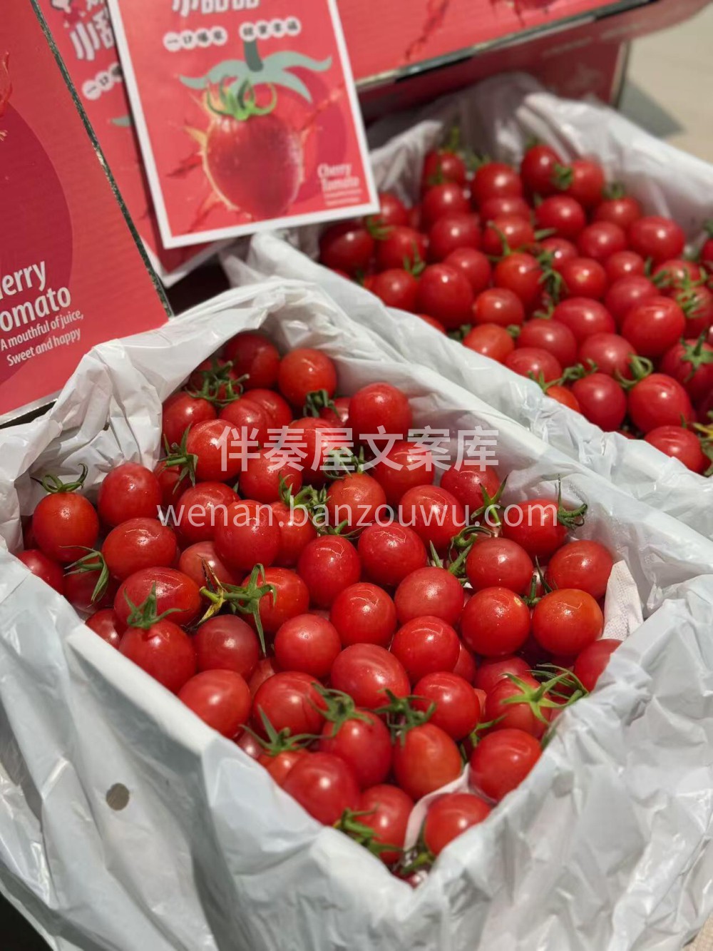 🍅小番茄大揭秘！一口爆汁，甜过初恋！ 💥 配图3
