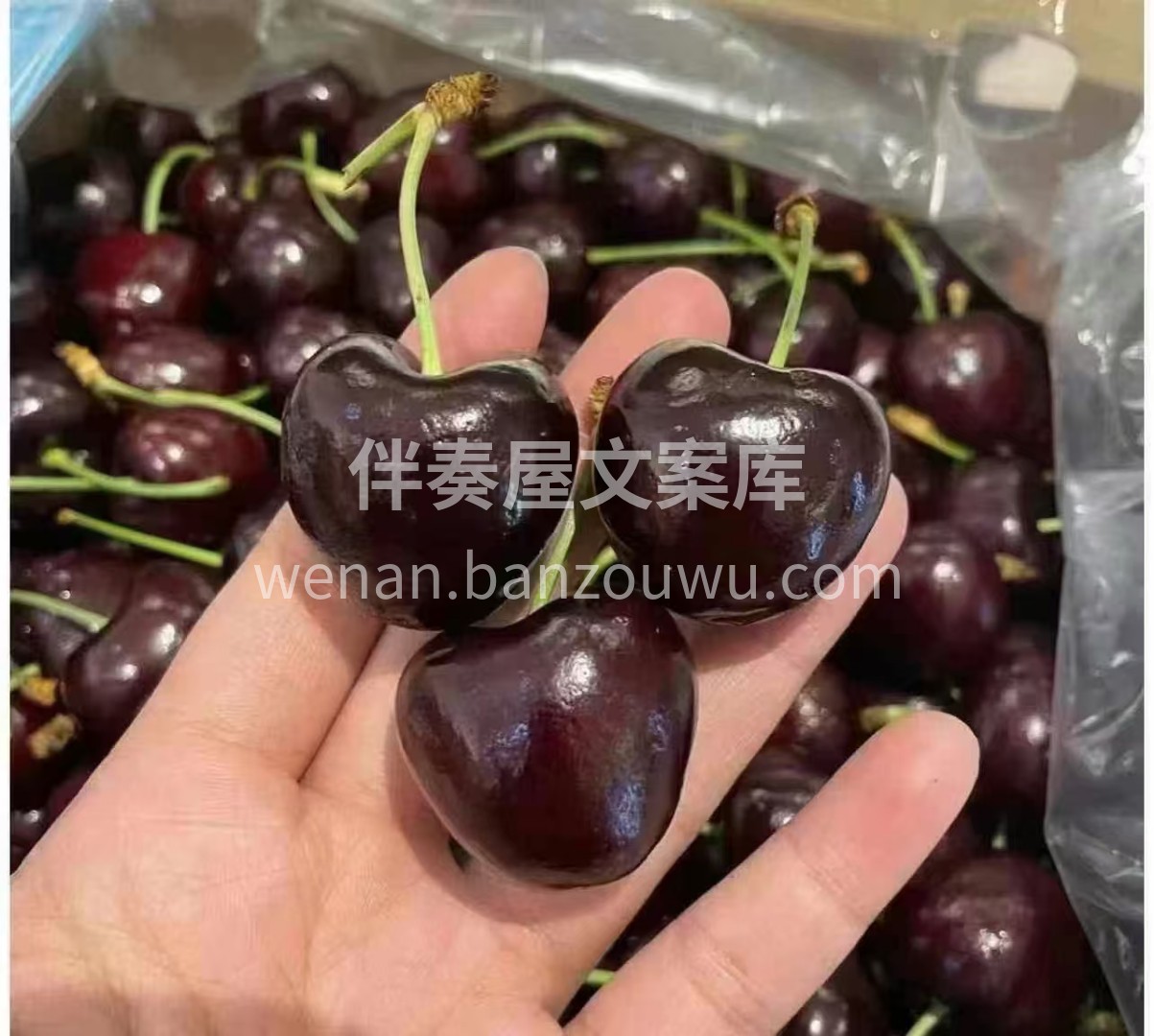 🌱 生活的每一刻都值得期待和珍惜🌼 今天 配图2