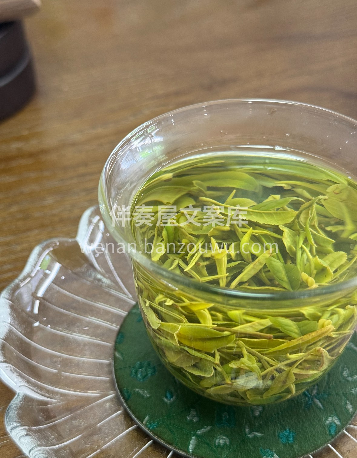 晨露浸润日照山，一芽一叶摘秋光。玻璃杯里 配图3