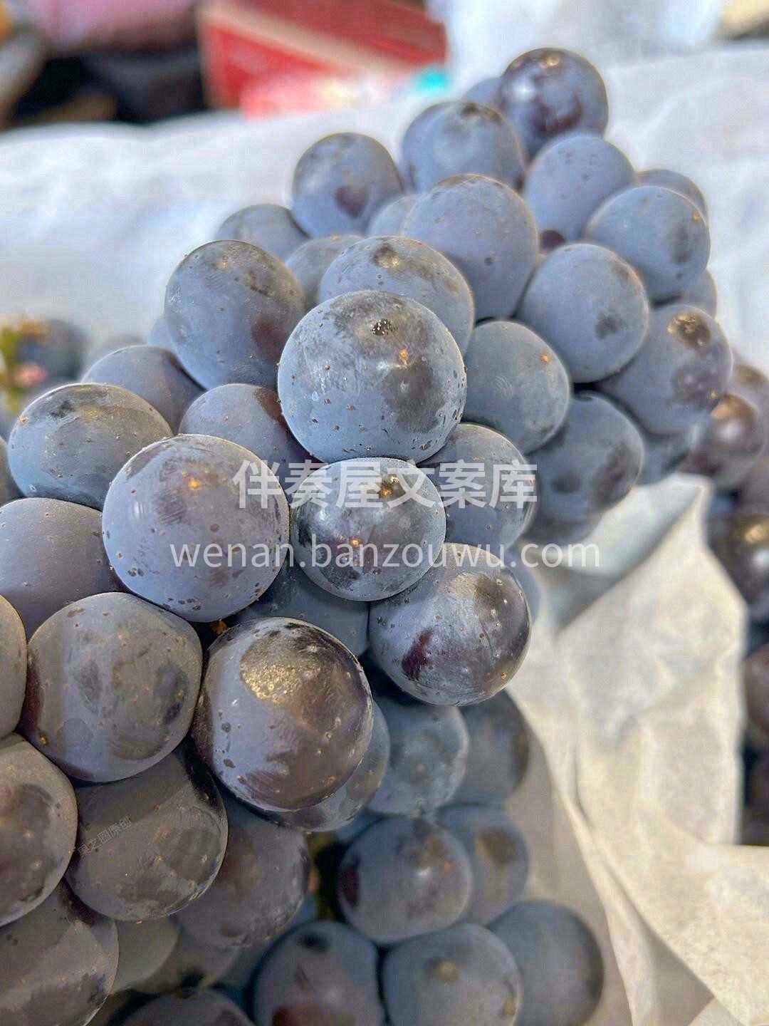 🍇 夏黑葡萄来啦！ 果粒饱满，果肉脆甜， 配图2