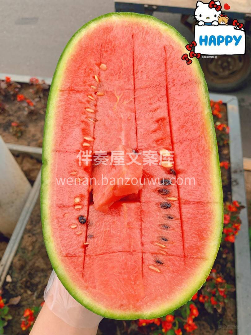 🌿2K小西瓜口感纯正细腻 瓜香四溢🍉，宛 配图3