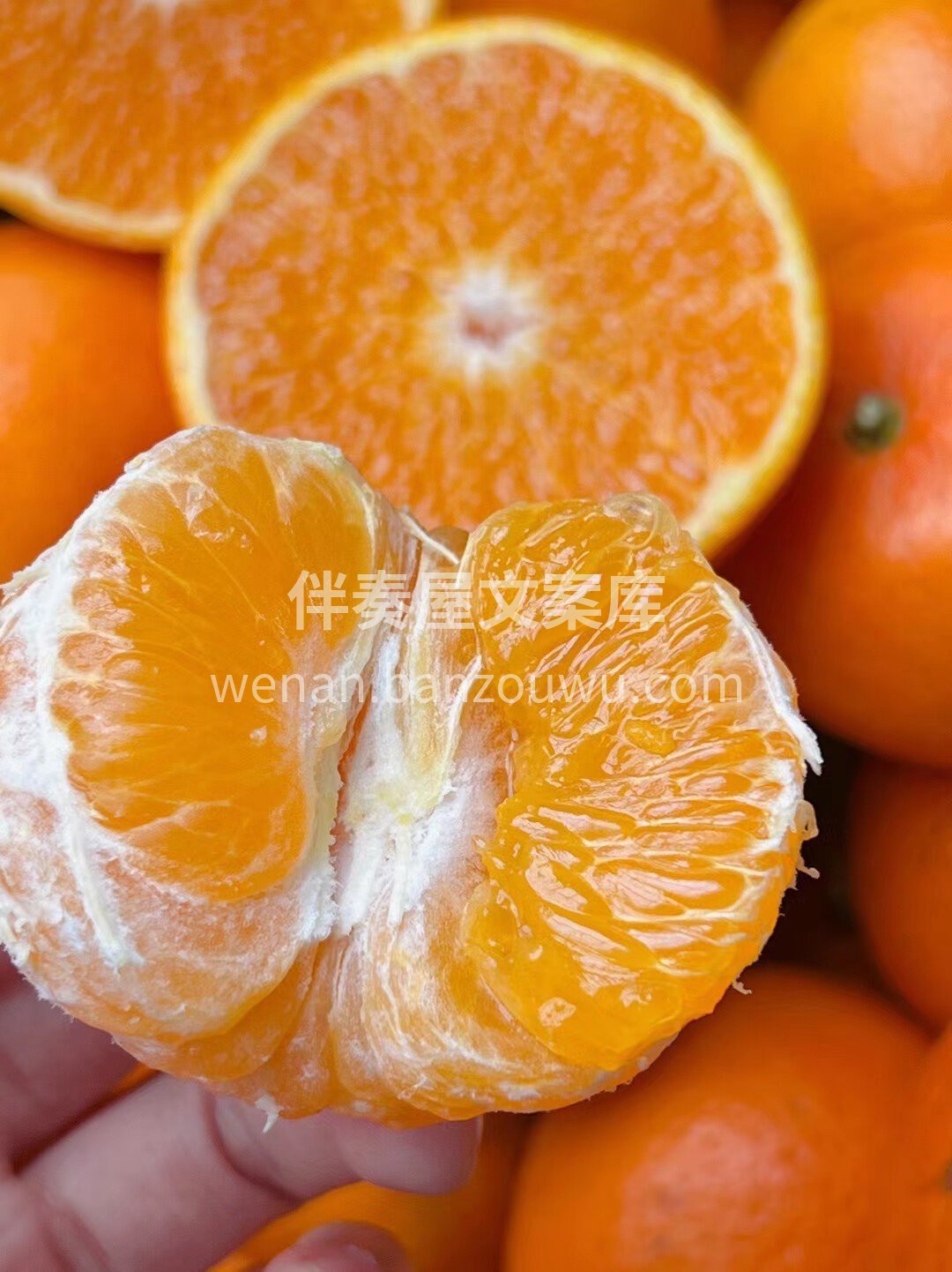 🍭纯甜爆汁的沃柑🍊剥上一个 皮薄肉多👏抿 配图2