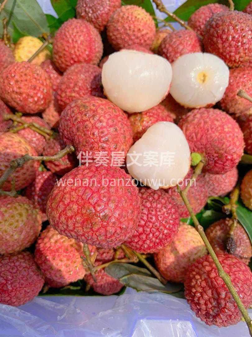 🐣将鸡嘴荔枝送入口中，合齿一咬，汁水四溢 配图1