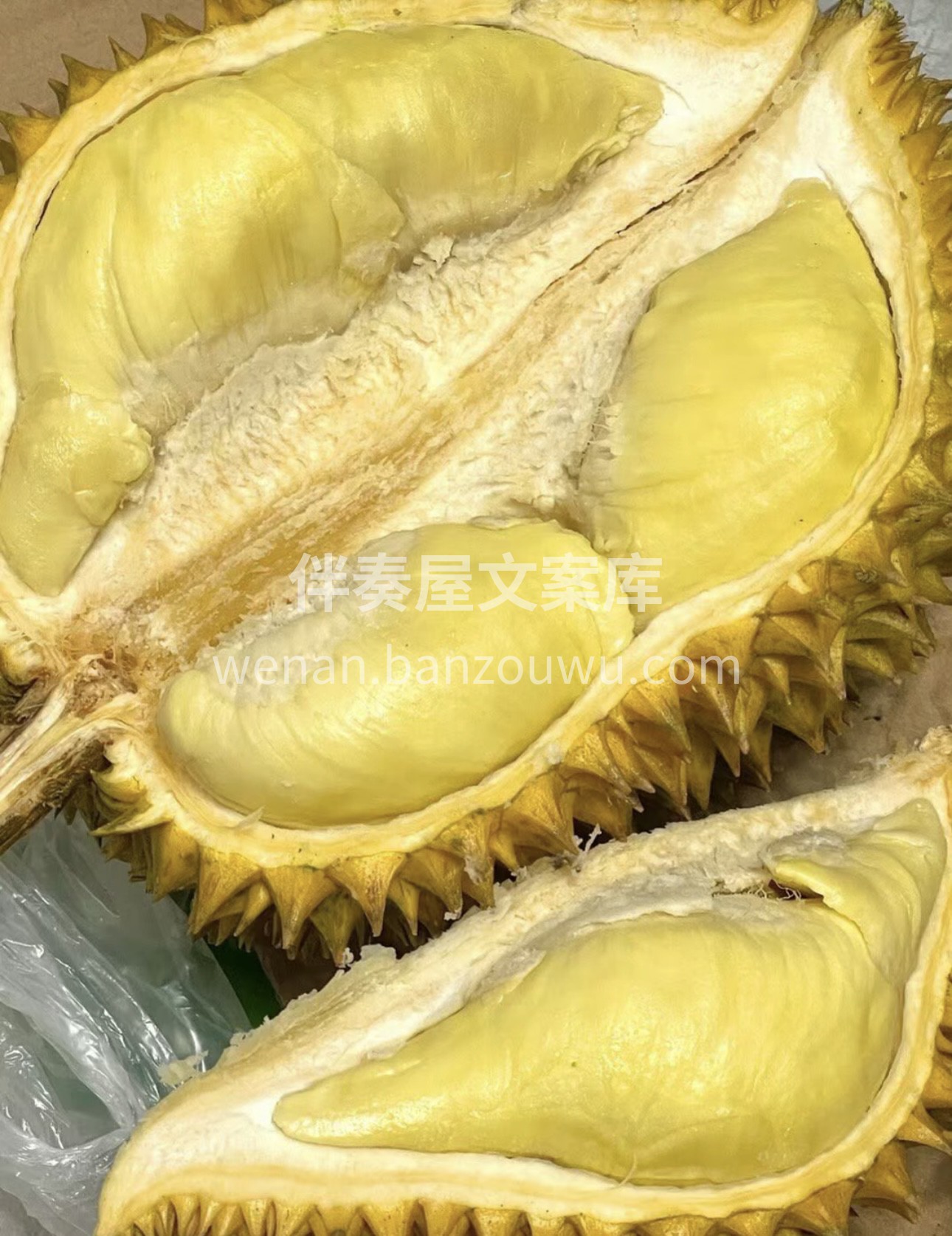有一种美味叫做，榴莲忘返，爱之者赞其香， 配图1
