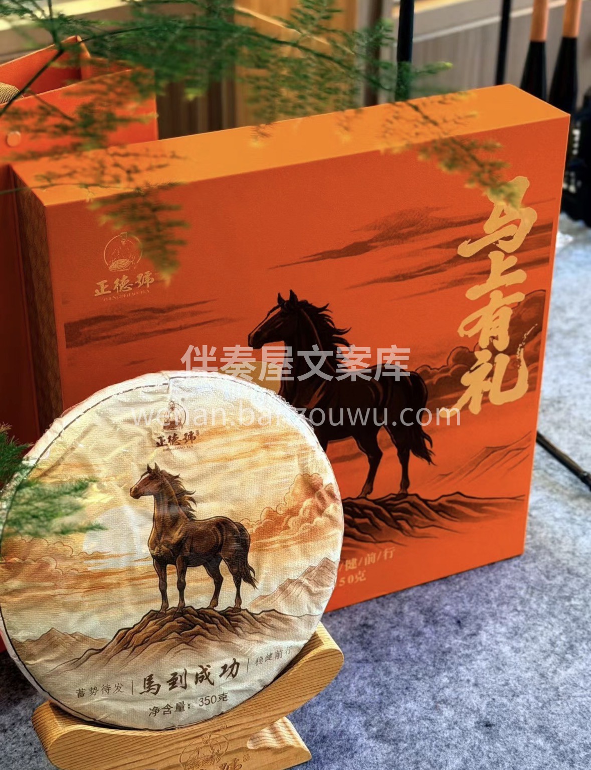 不疾不徐的时光里，泡一盏马到成功白茶。没 配图1