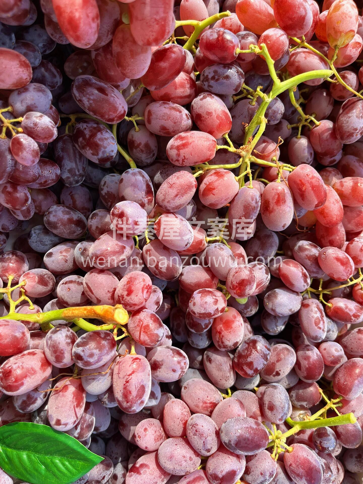 ☘无籽红提🍇上新～ 清甜无籽，果肉脆嫩到 配图2