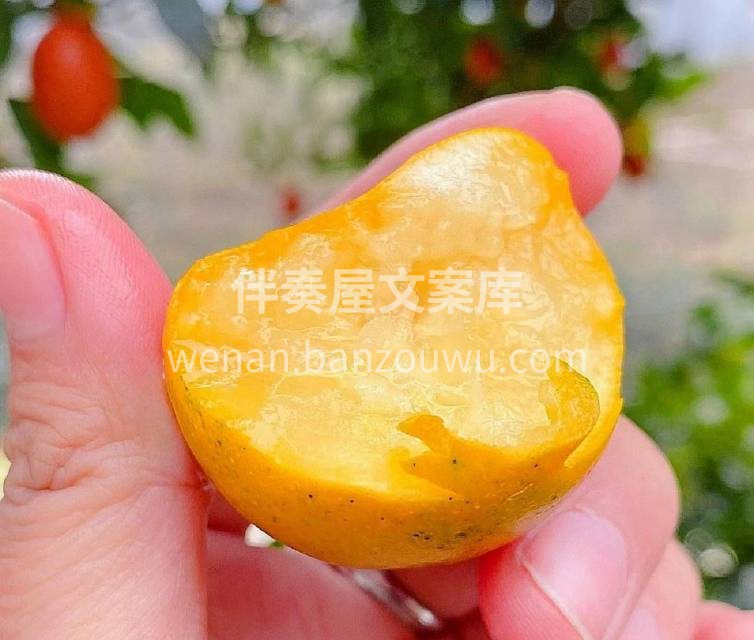 融安滑皮金桔🍊天然洗肺机 每一颗是自然成 配图1