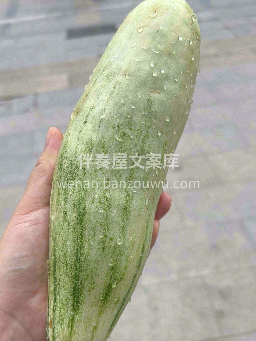 酥甜酥甜的羊角蜜🥒，一口气一个瓜超甜过瘾 配图3