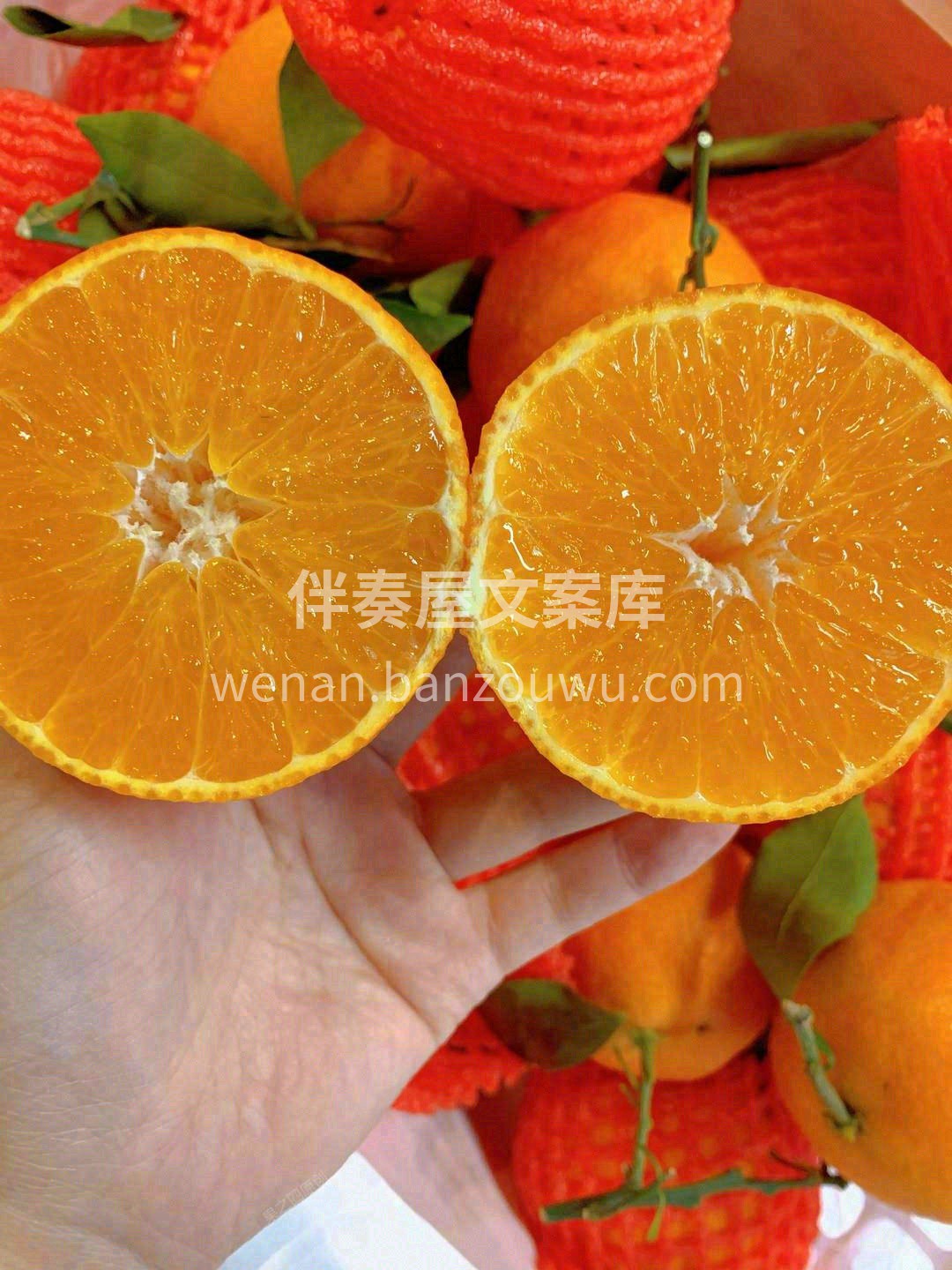 🍊外观像橘子，长得扁平，果皮超级薄👍 又 配图1