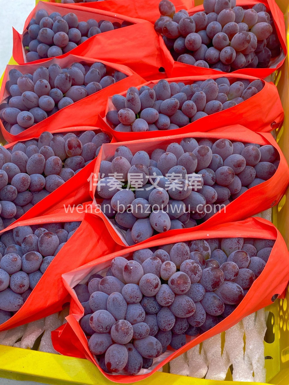 🌸带有茉莉花香味的葡萄🍇，玲珑有致，小巧 配图3