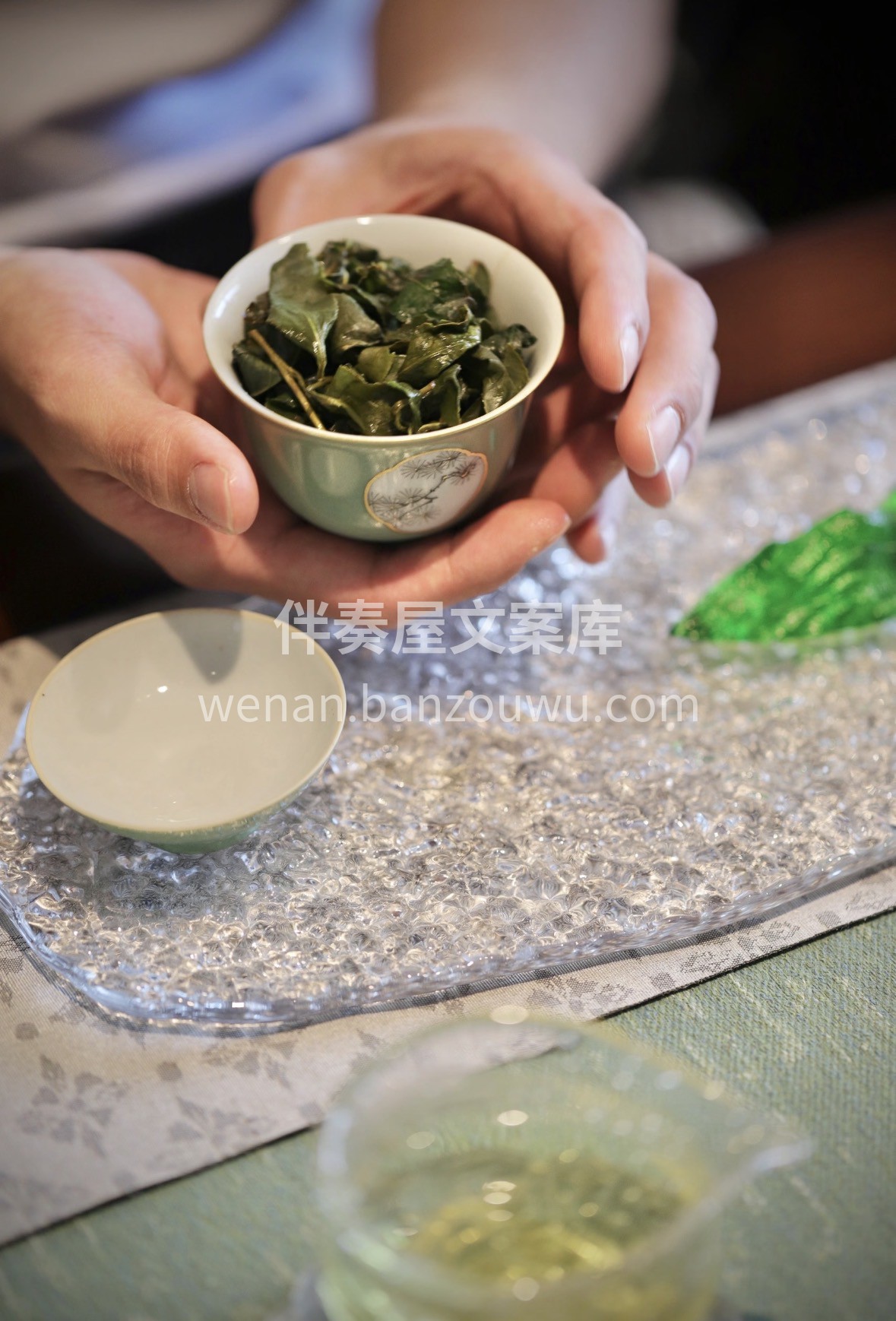 🍵正宗台湾高山乌龙 高海拔孕育，香气清幽 配图1
