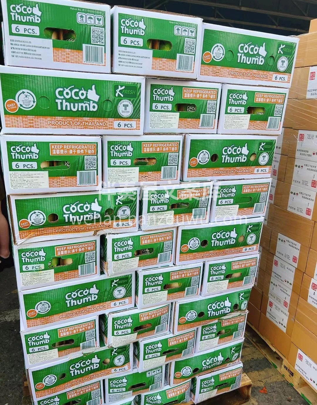 coco Thumb椰青🥥补水神器💦 泰 配图3
