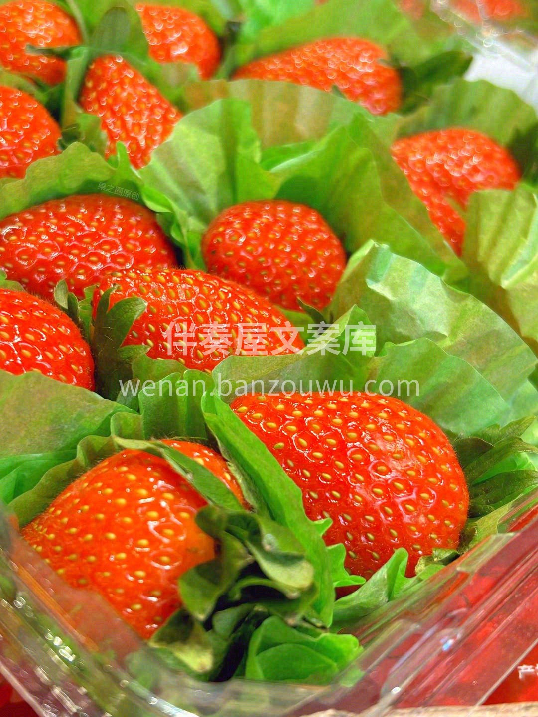 草莓🍓应该拥有的样子！ 怡颗莓草莓，细腻 配图2