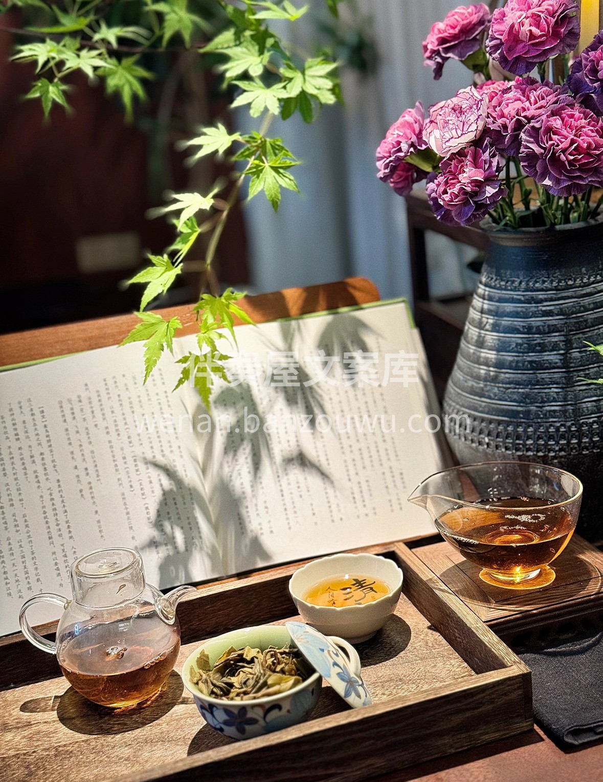 一盏贡眉，清甜如泉。白毫微展，杏黄的茶汤 配图3