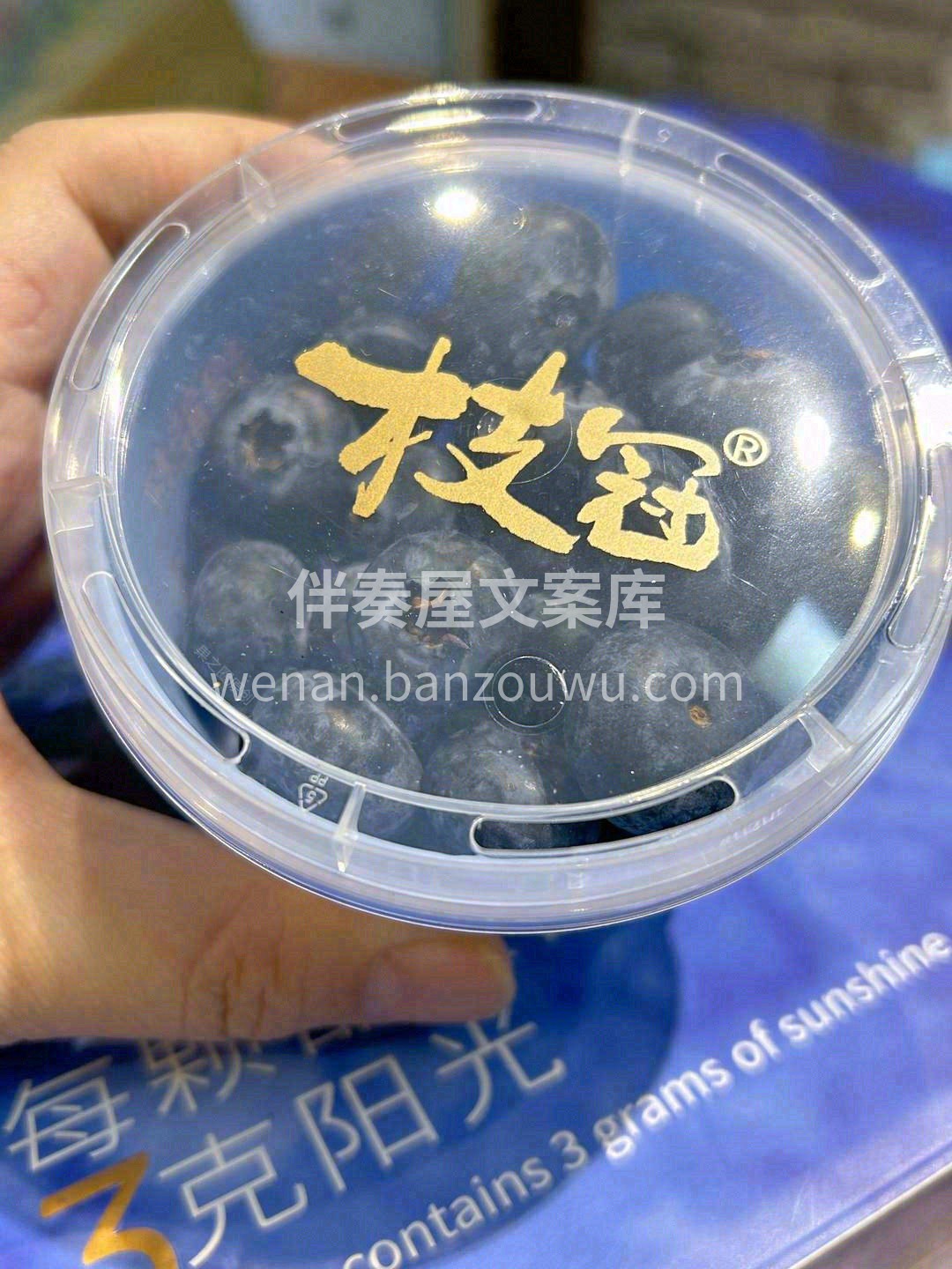 万物皆可爱，一颗永流传💎，愿你每天“莓” 配图1