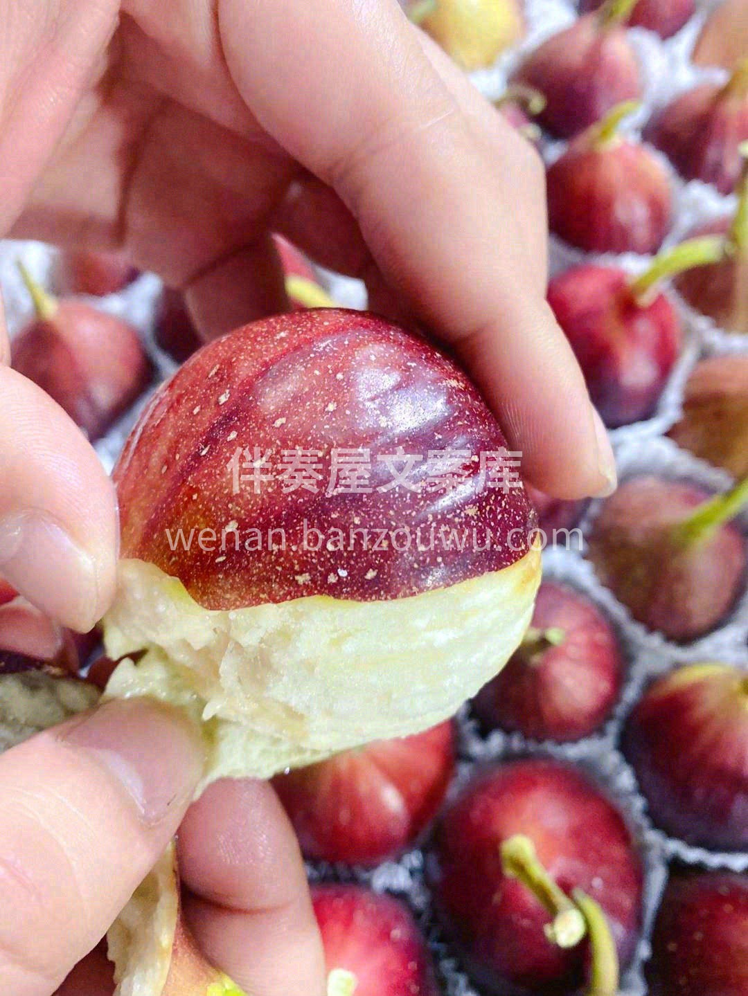 🌸带着水果的甘冽、花朵的芬芳，清冽甘醇🍭 配图2