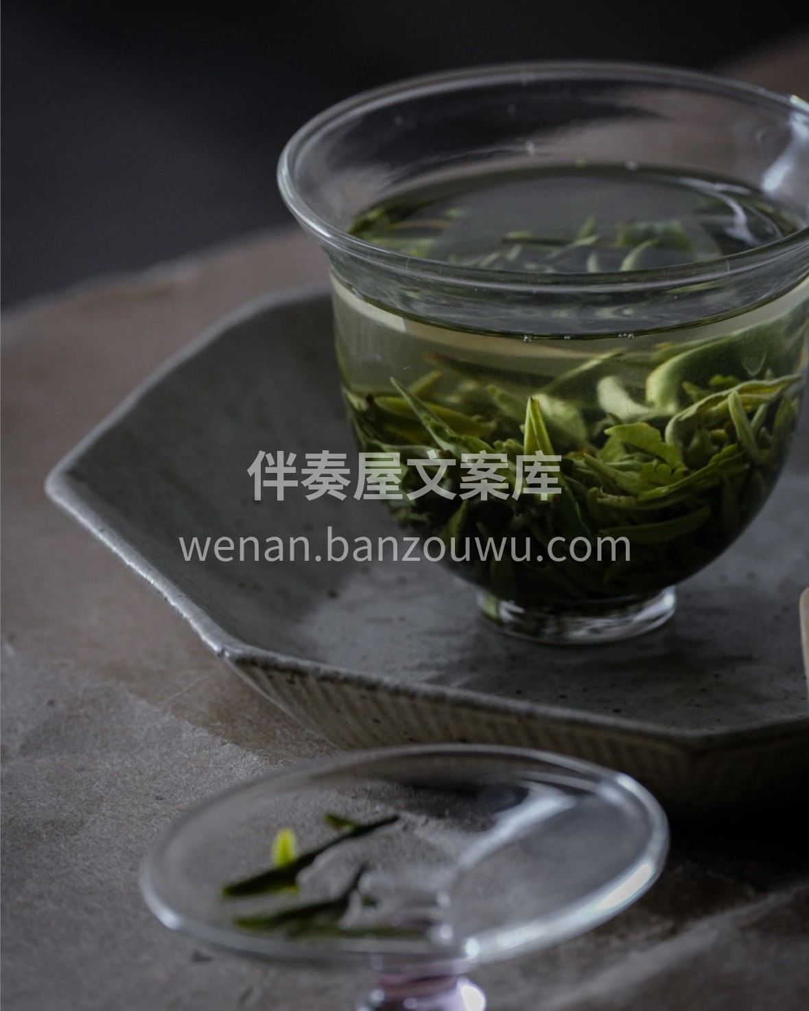 蒙顶甘露承千年贡茶风骨，芽叶匀整带白毫。 配图3