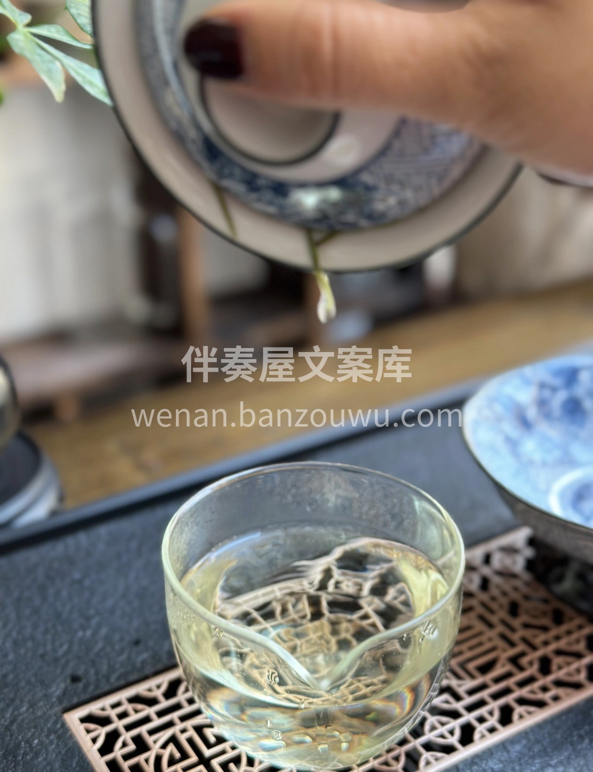新春年货选安吉白茶🎁 鲜爽甘醇沁心脾，条 配图2