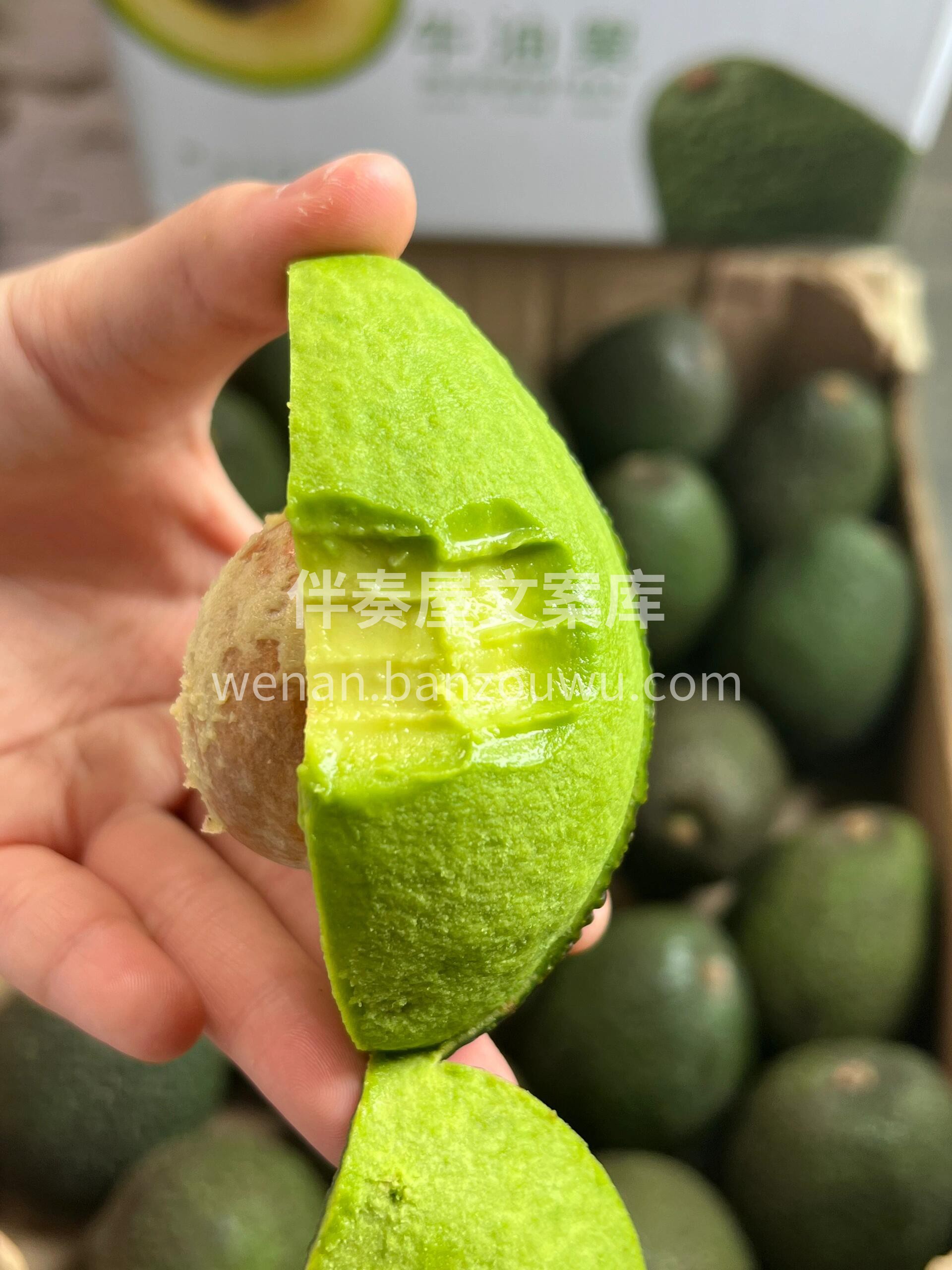 🥑牛油果来啦！💚 森林黄油来了✨ 牛油果 配图2