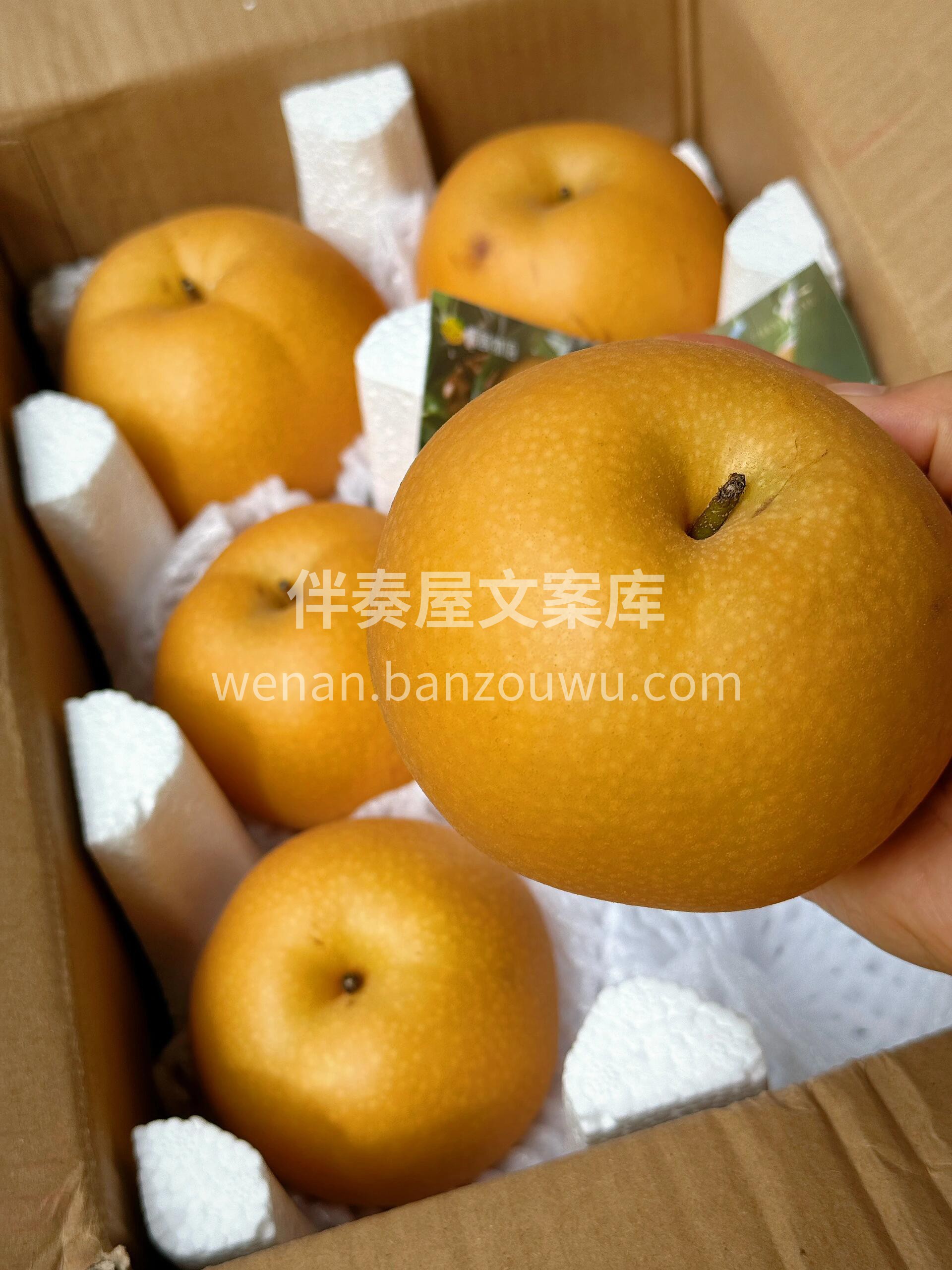 认准认准👇👇梨子界的白月光 品质依然杠杠 配图3