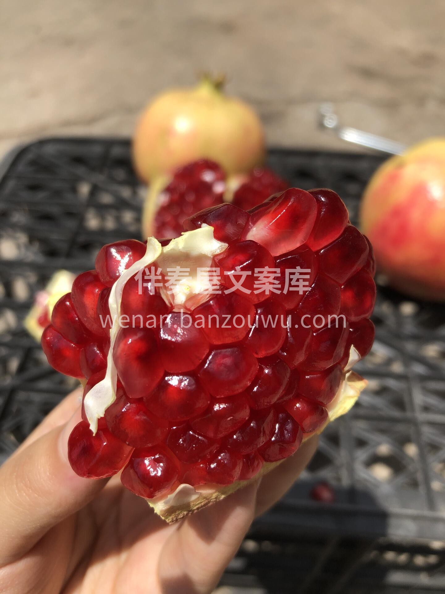 🥰抗氧化水果之「软籽石榴」🍃 自从入秋后 配图3
