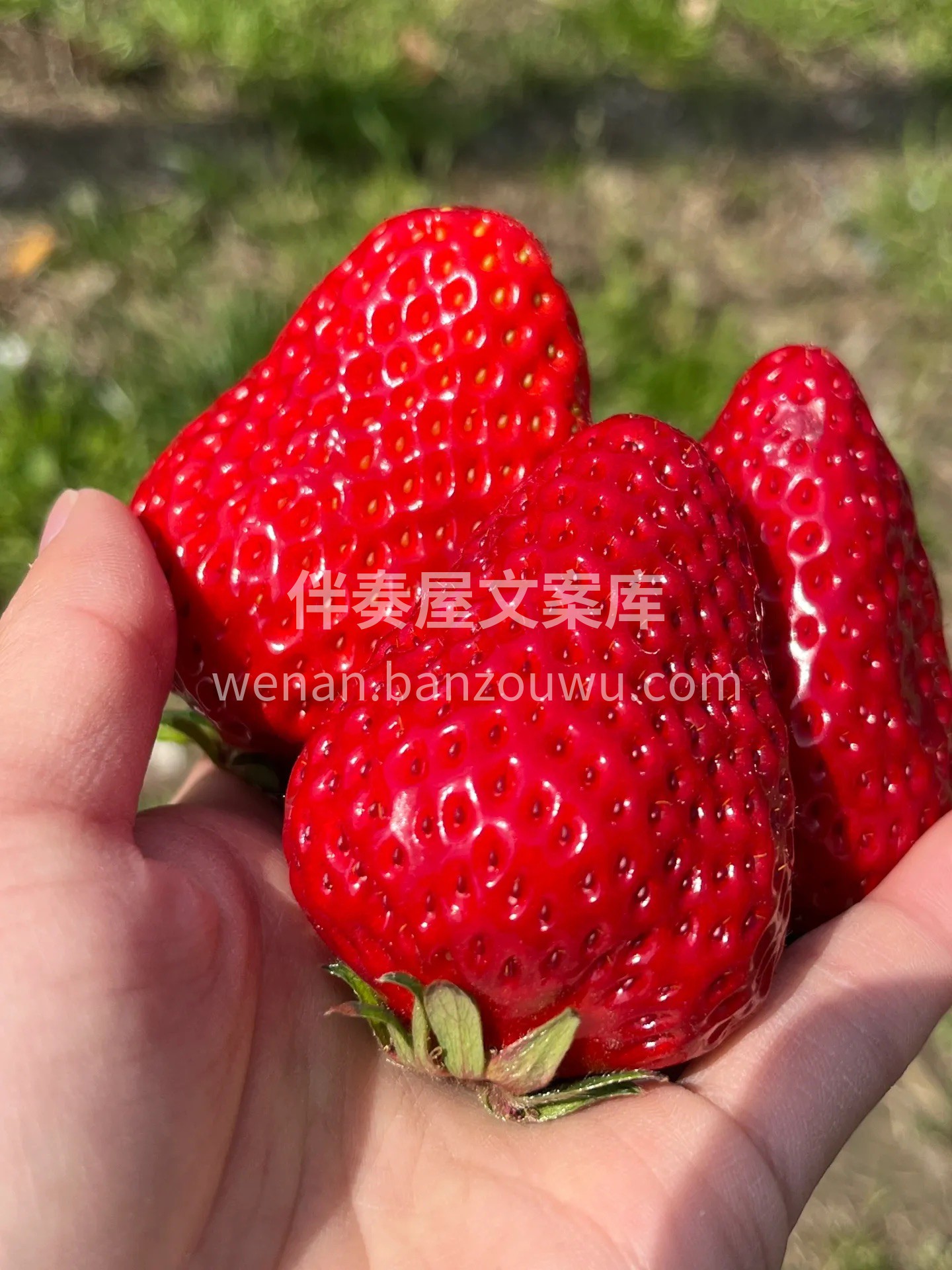 ‍ ? ♡ ʜᴀᴘᴘʏ̆̈ ?◡̈* 4 配图2