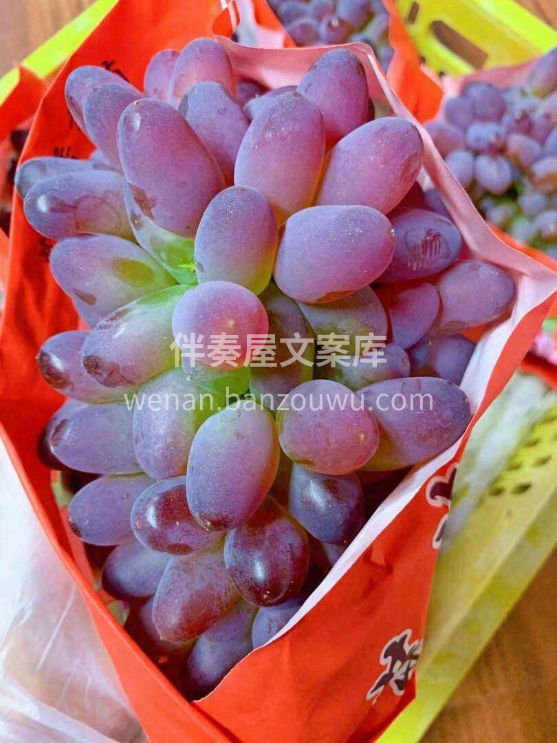 🍇小小的葡萄，大大的营养👍 好葡萄，多汁 配图1