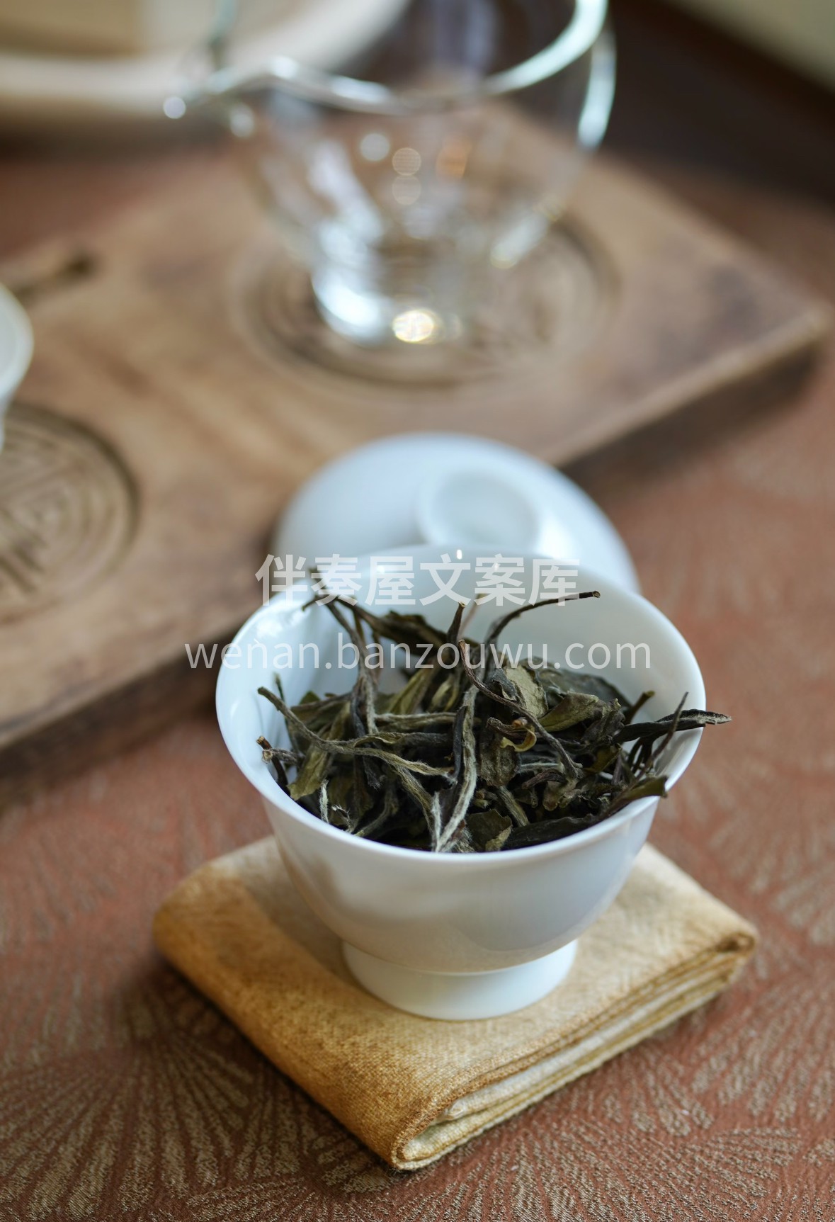 寿眉不似春茶张扬，却藏着老白茶独有的风骨 配图1
