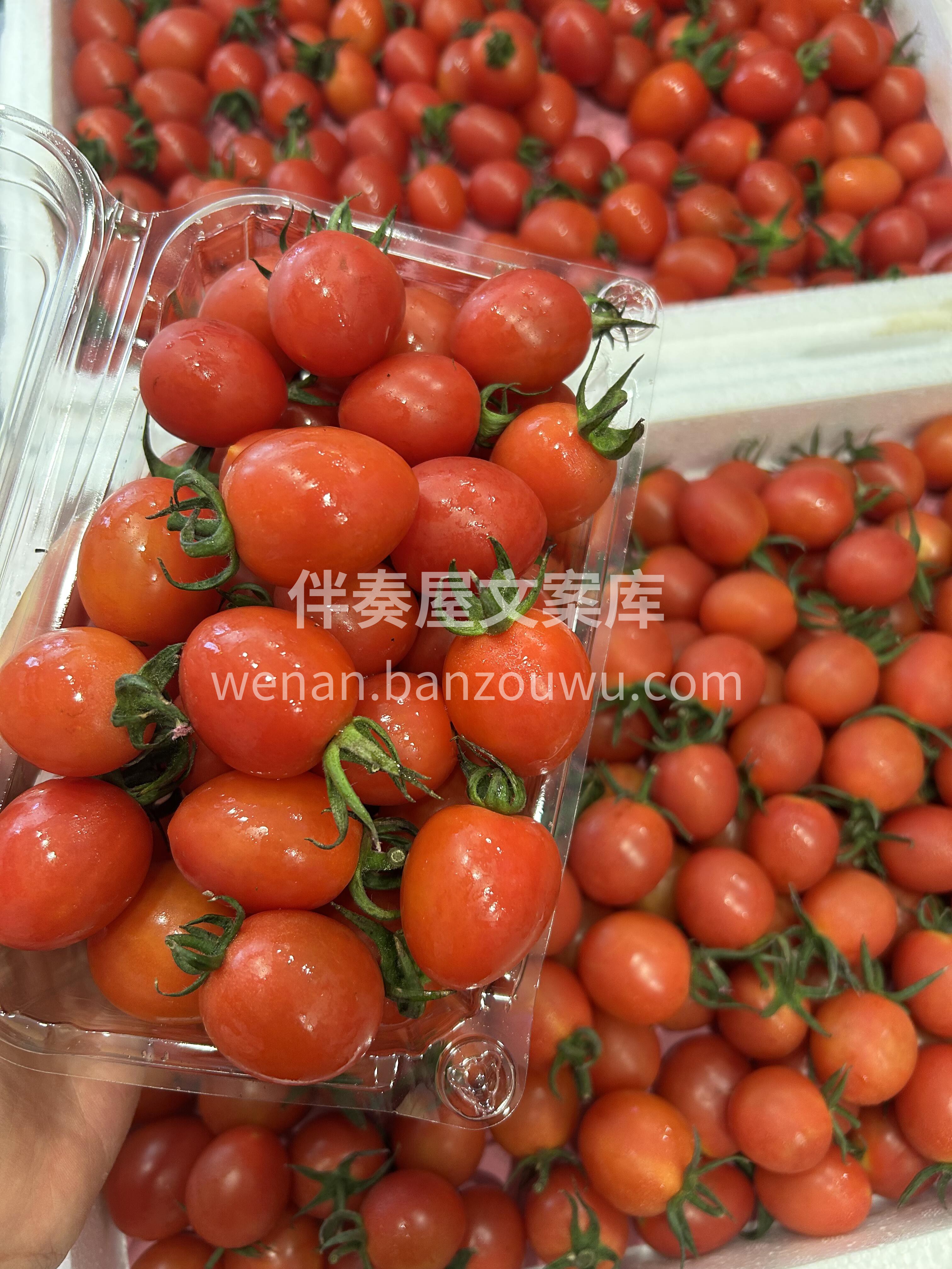 🍅电白千禧真的是一口一个的幸福感🎊 清香 配图1